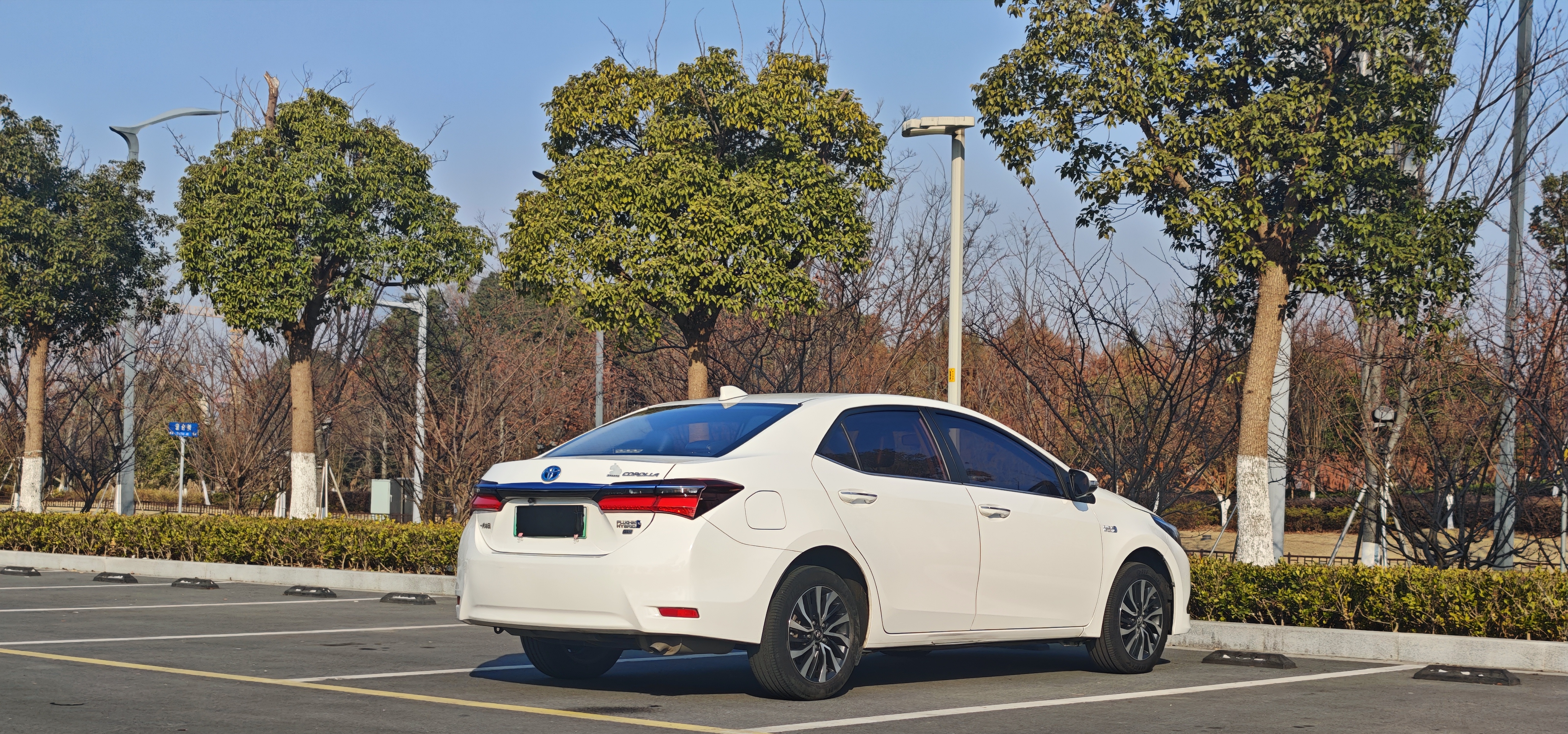 Toyota Corolla Hybird E+ 2020 immagine di auto #9