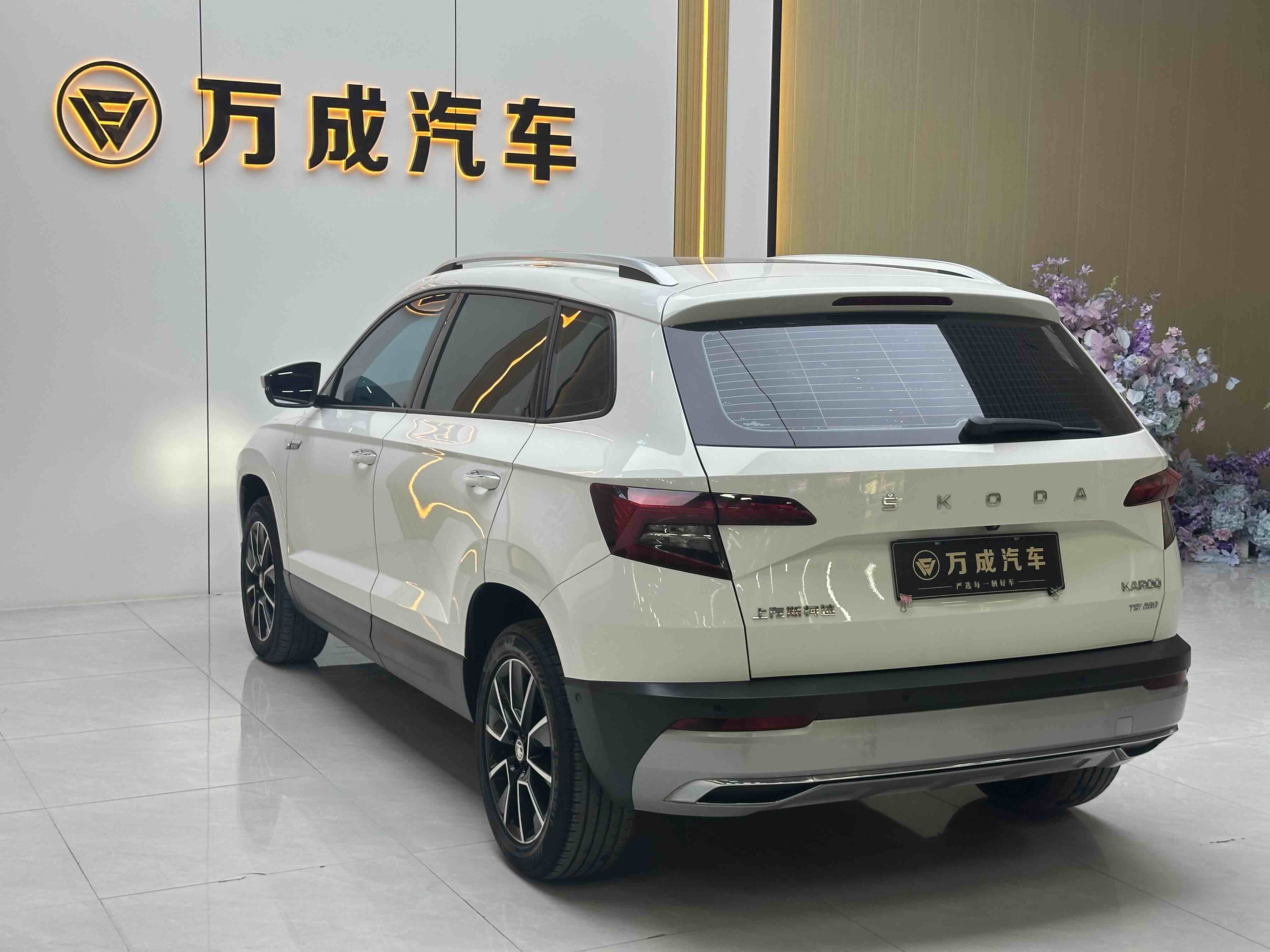 Skoda Karoq 2019 car image #9