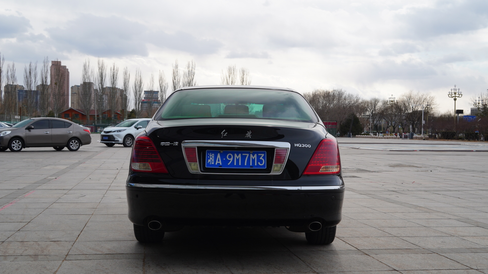 HongQi ShengShi 2008 صورة سيارة #9