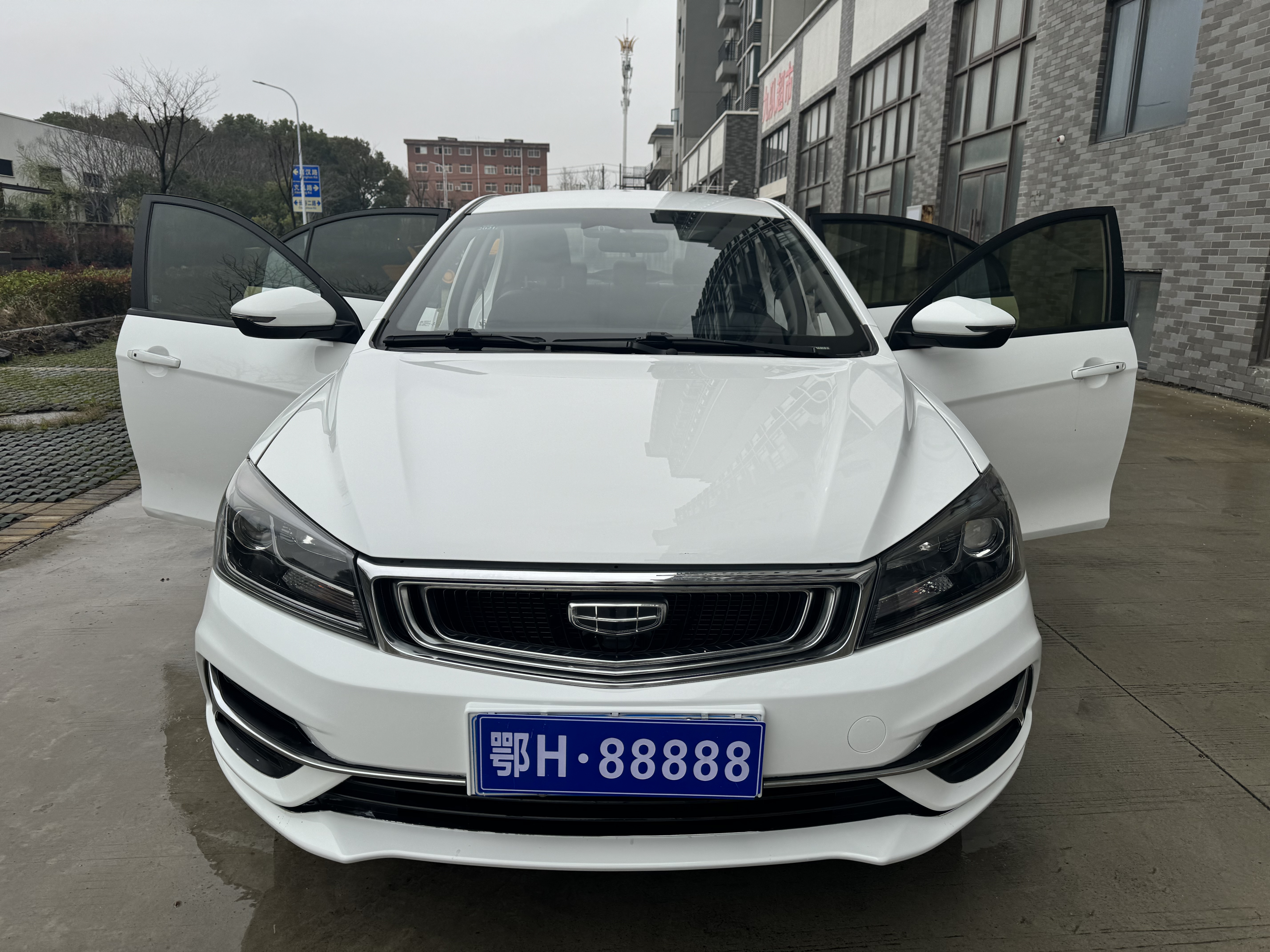GEELY Emgrand 2019 car image #9