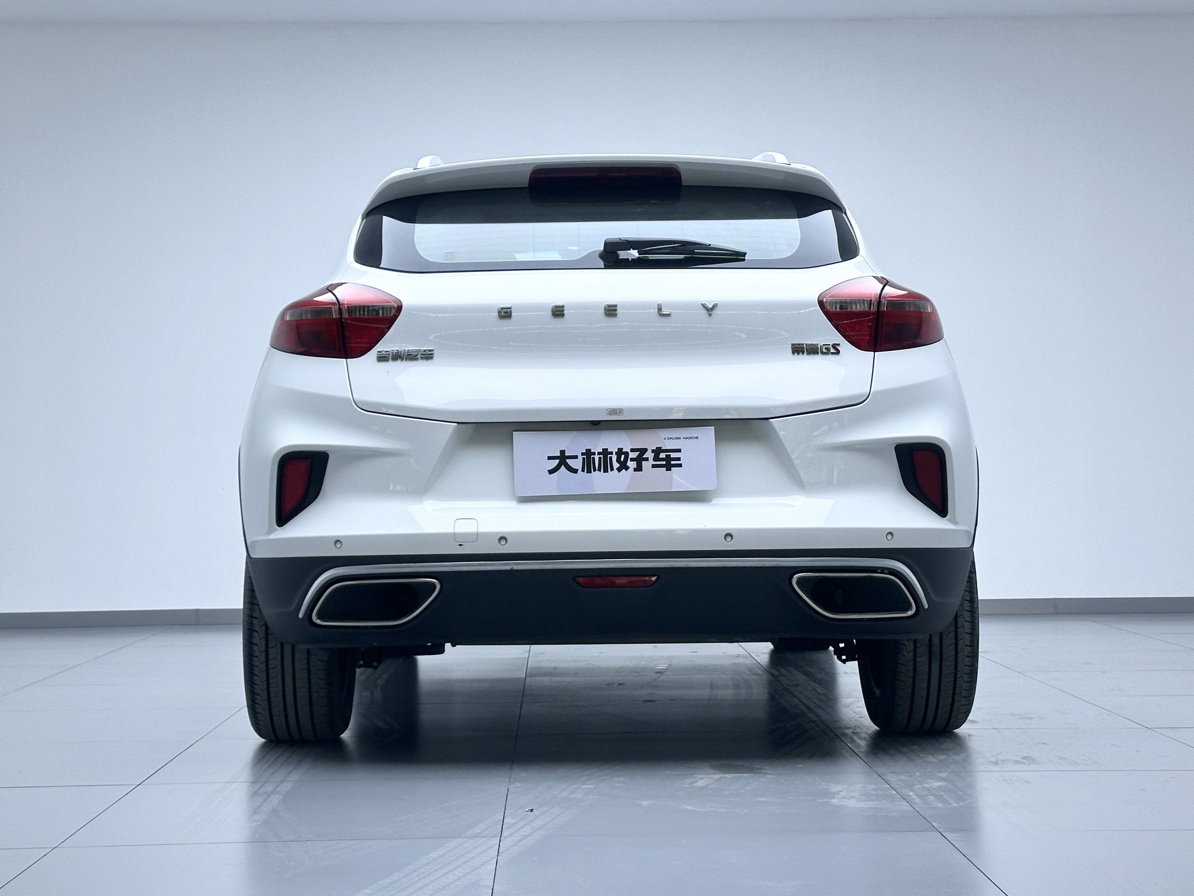 Emgrand GS 2019 #9 Emgrand GS 2019 car image #9