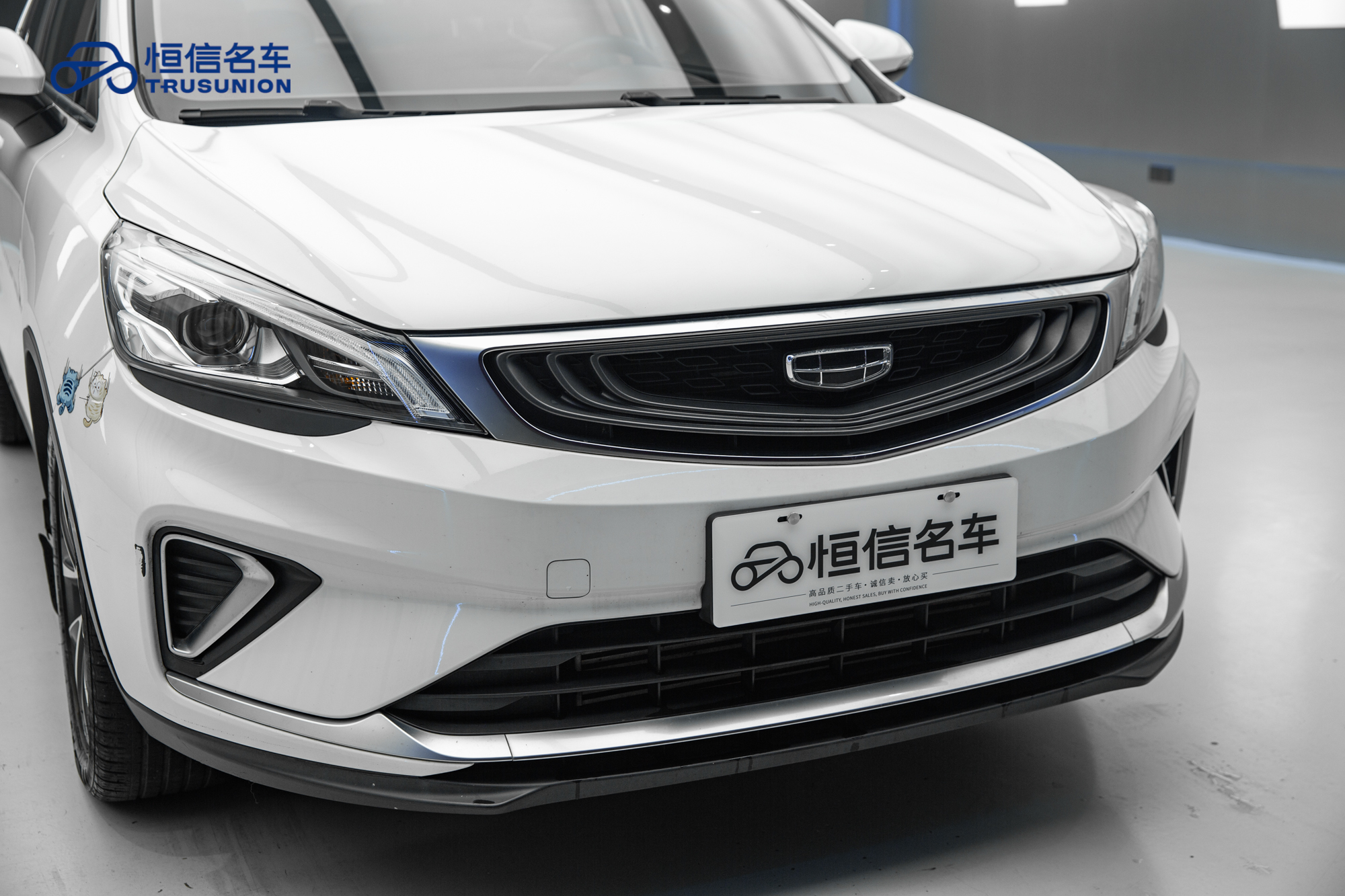 GEELY Emgrand GS 2020 #9 GEELY Emgrand GS 2020 car image #9