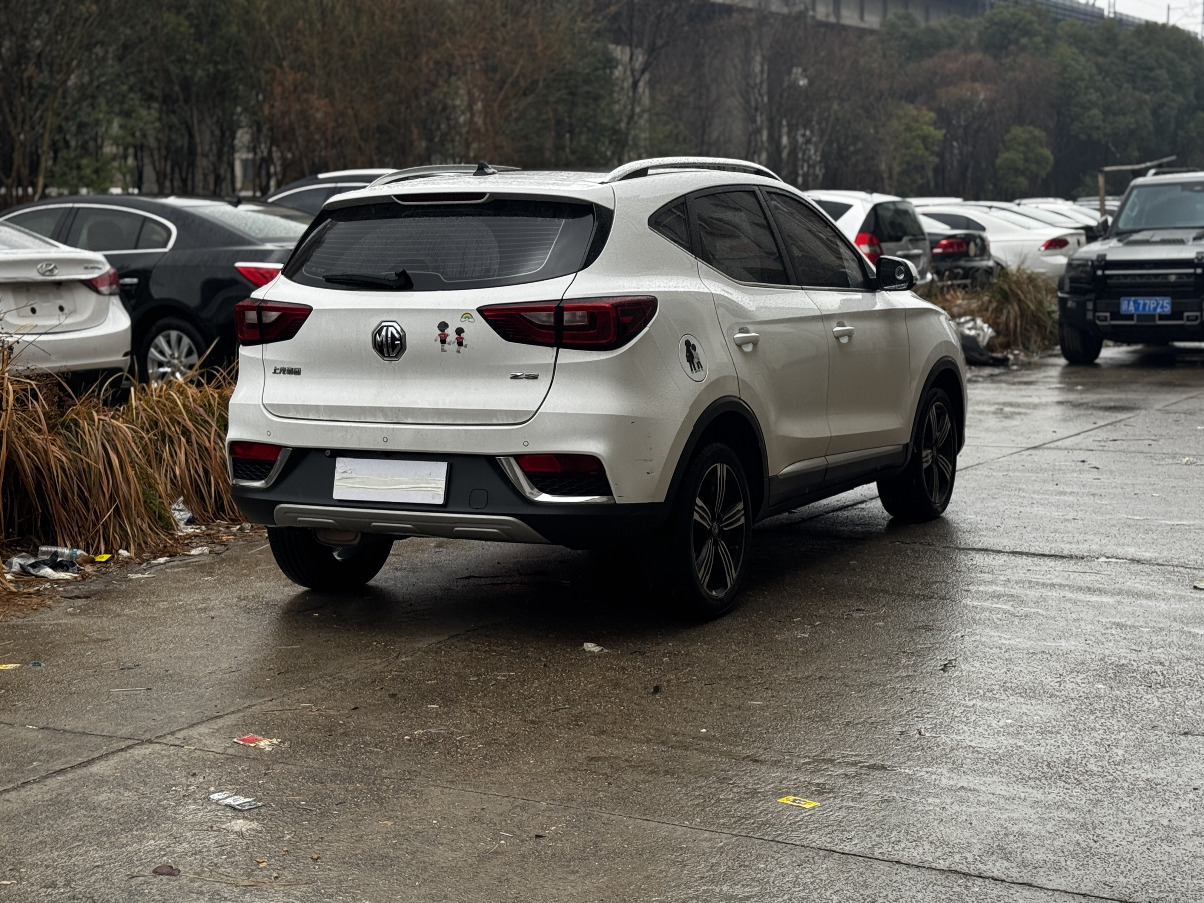 MG ZS 2019 #9 MG ZS 2019 car image #9