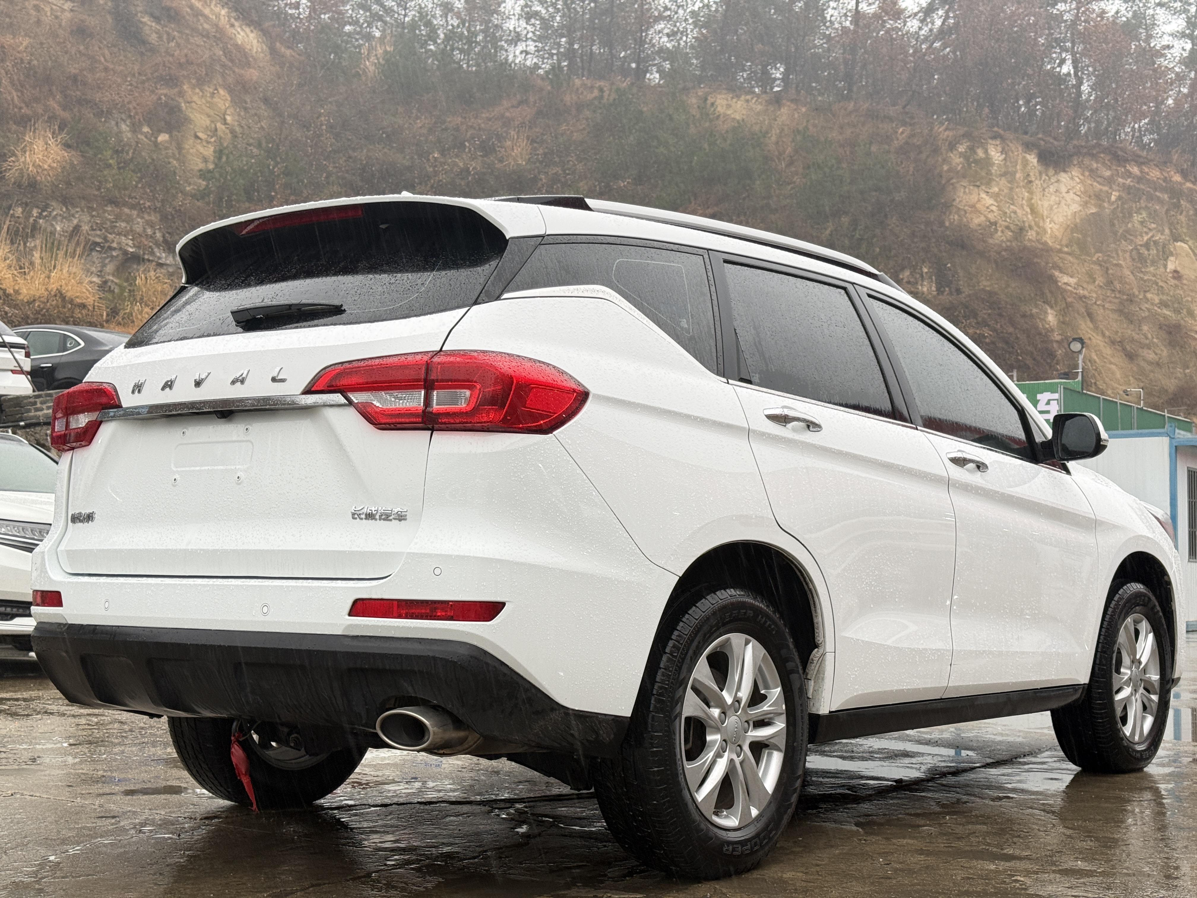 Haval M6 2021 immagine di auto #9