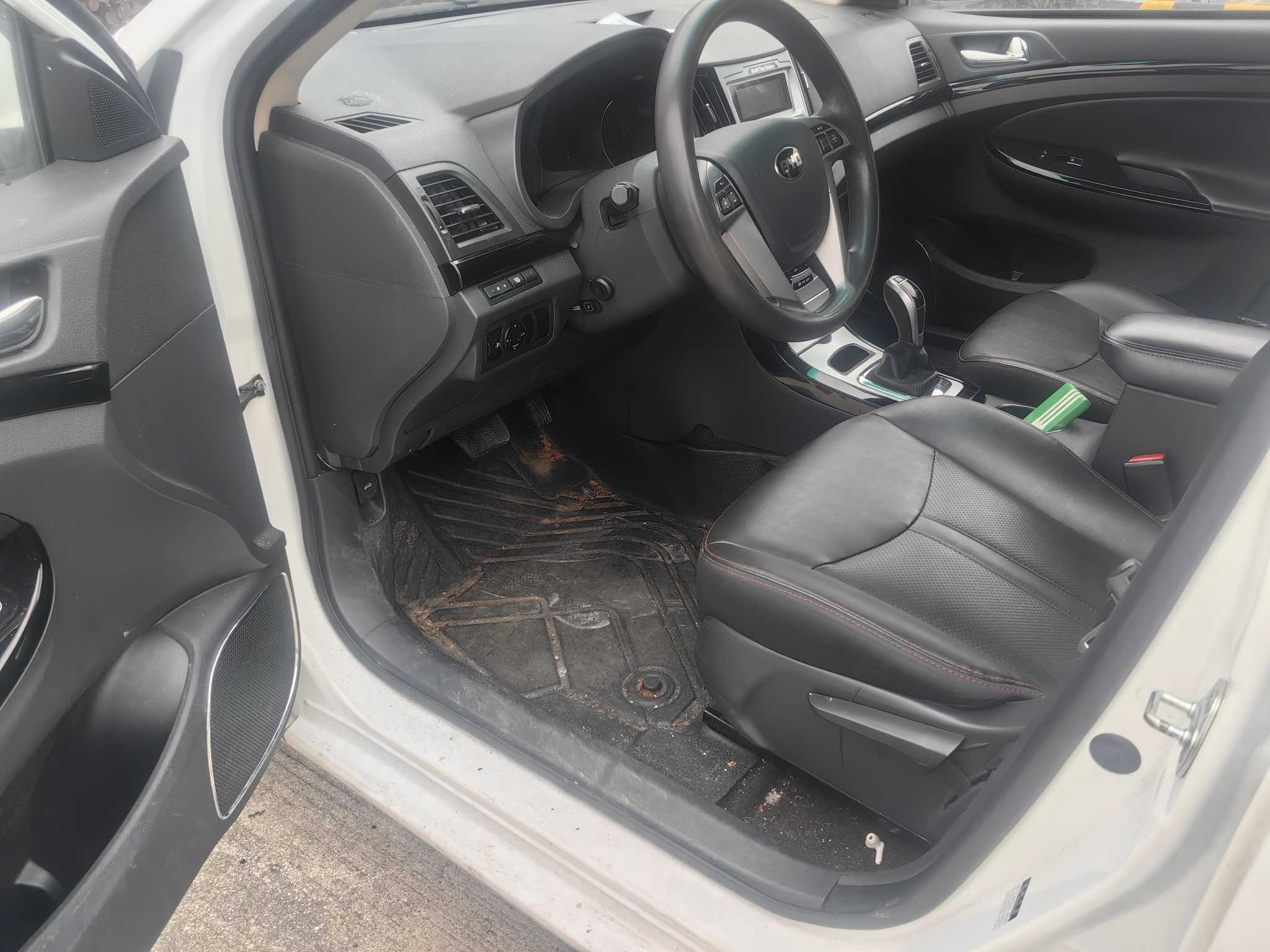 GEELY Emgrand New Energy 2021 car image #9