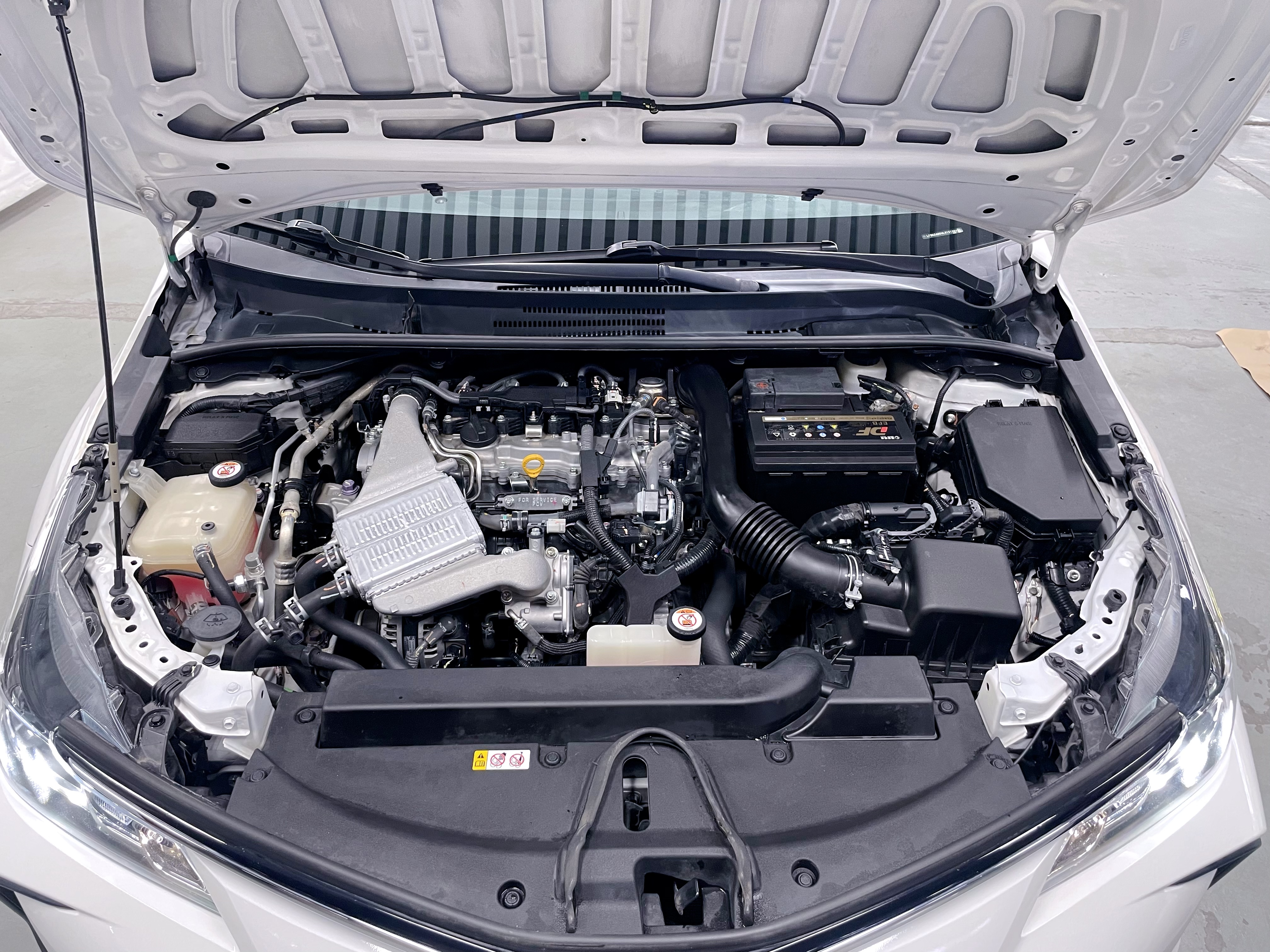 卡罗拉 2020 汽车图片 #9