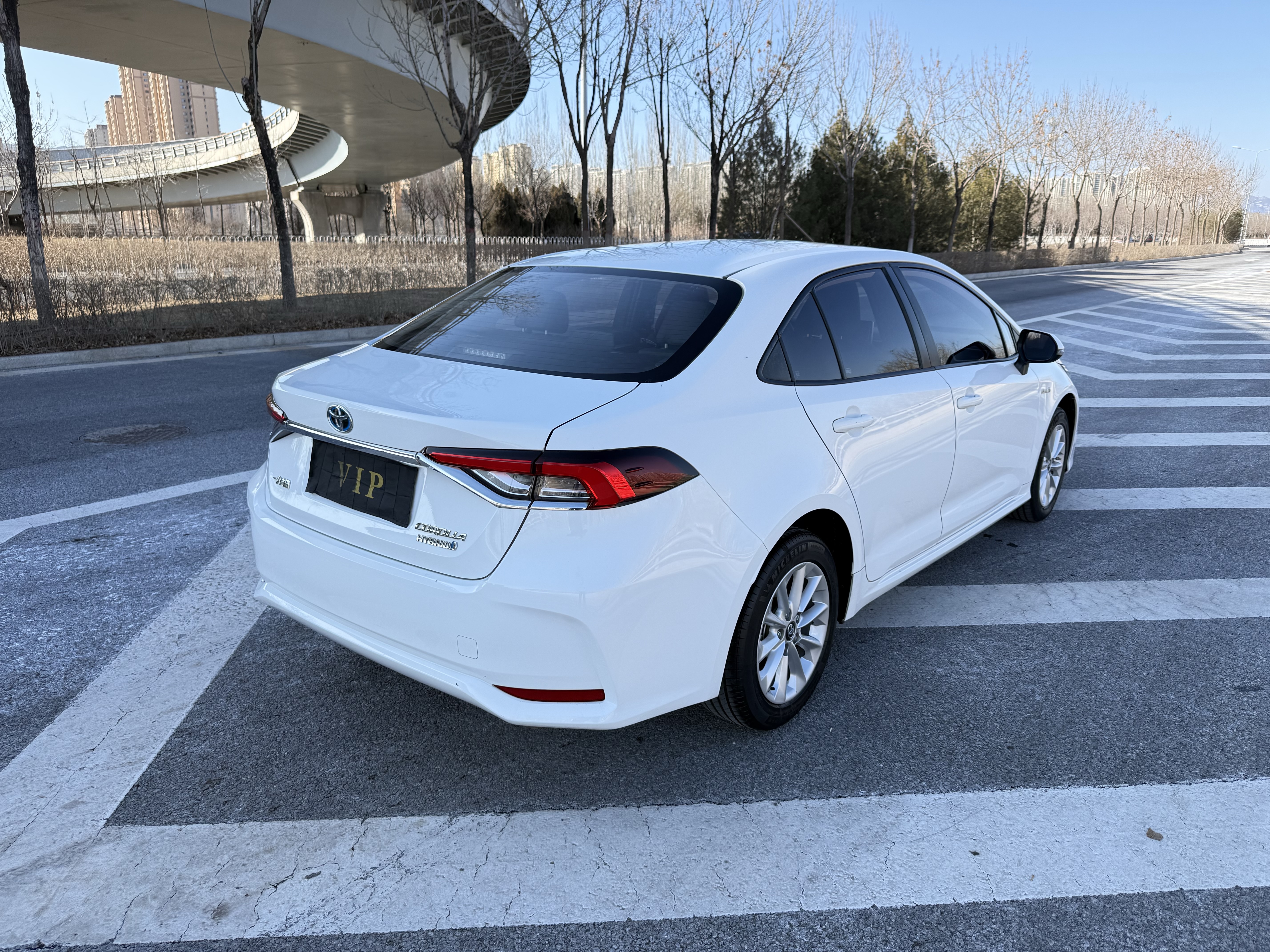 Corolla 2020 car image #9