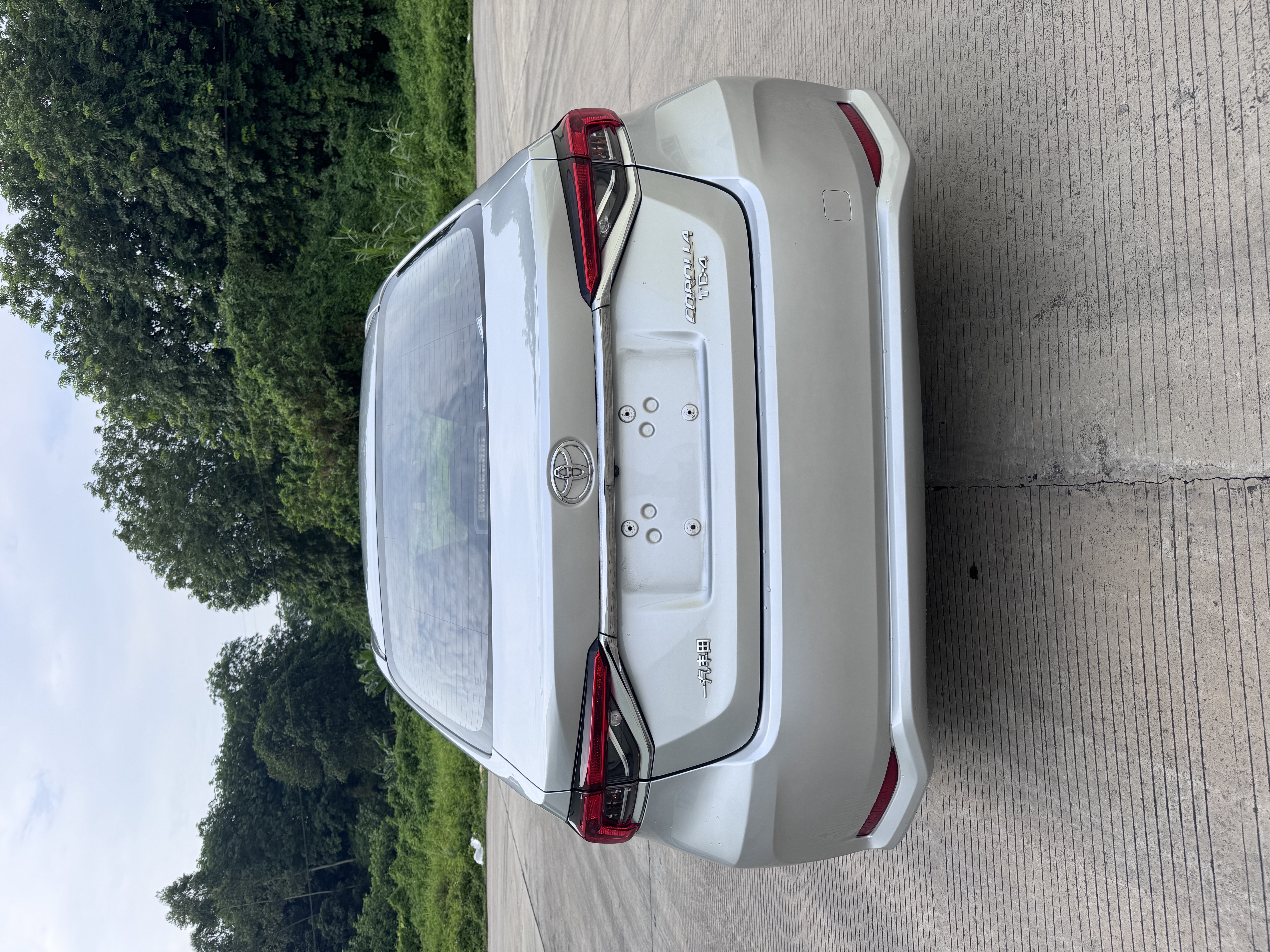 Toyota Corolla 2019 car image #9