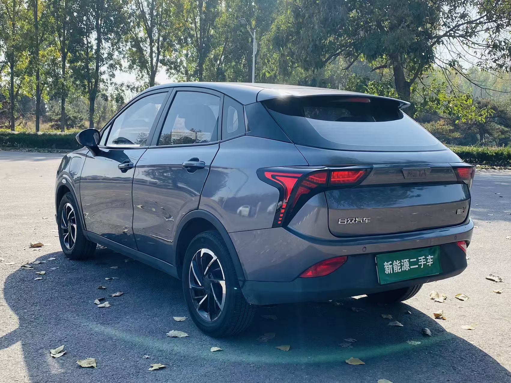 哪吒汽车 哪吒N01 2020 汽车图片 #9