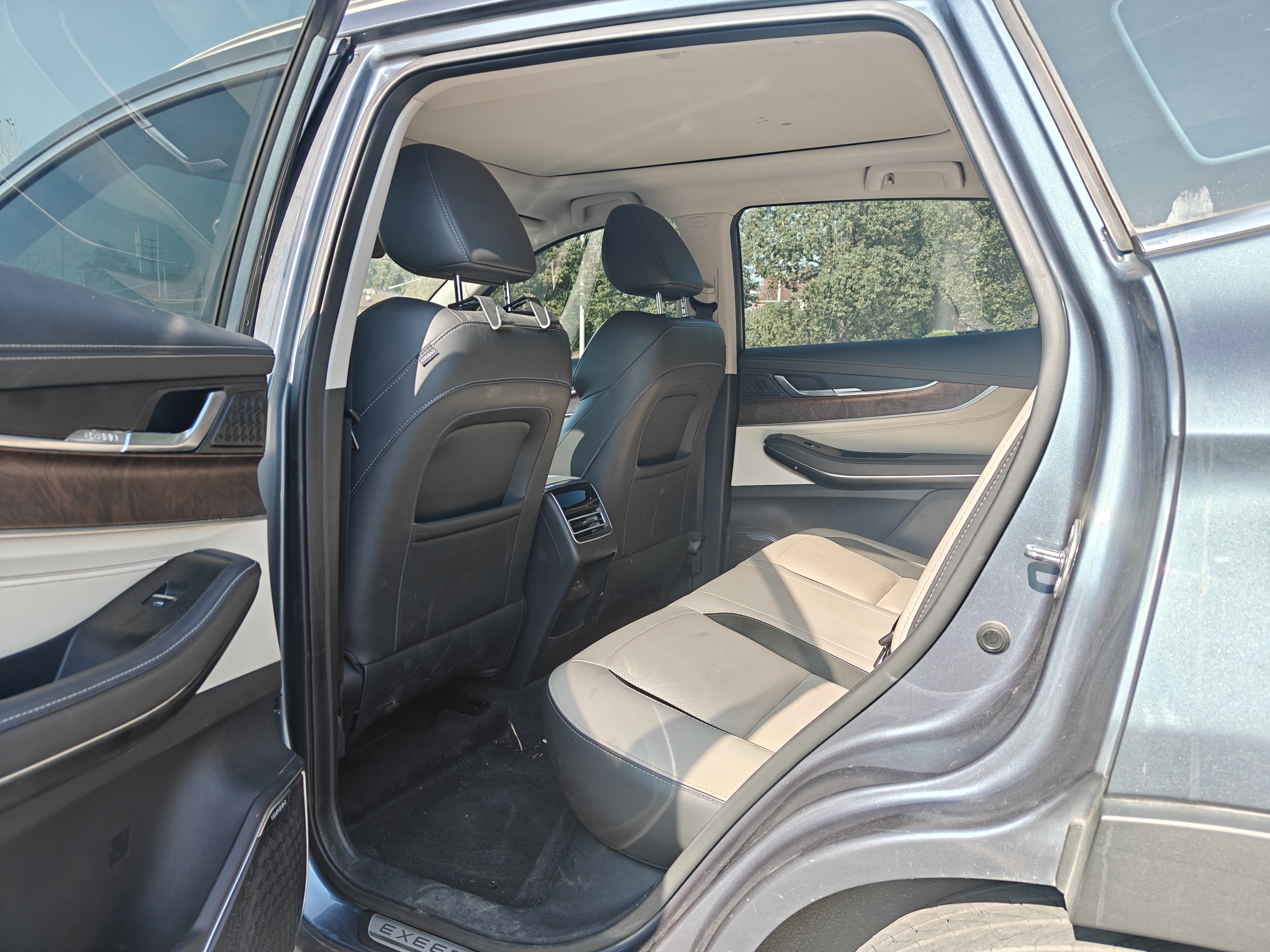 Exceed Chasing Wind 2020 car image #9