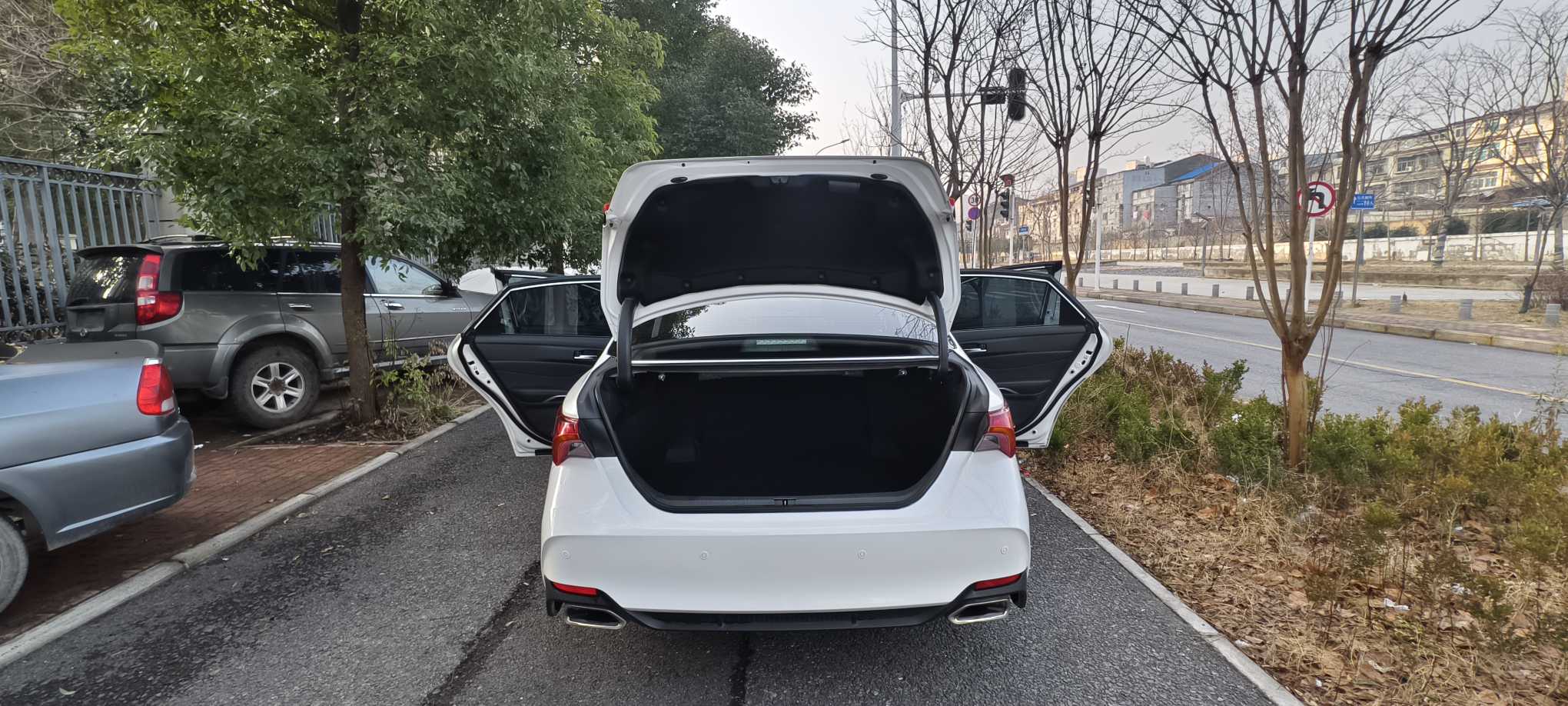 Toyota Avalon 2020 immagine di auto #9