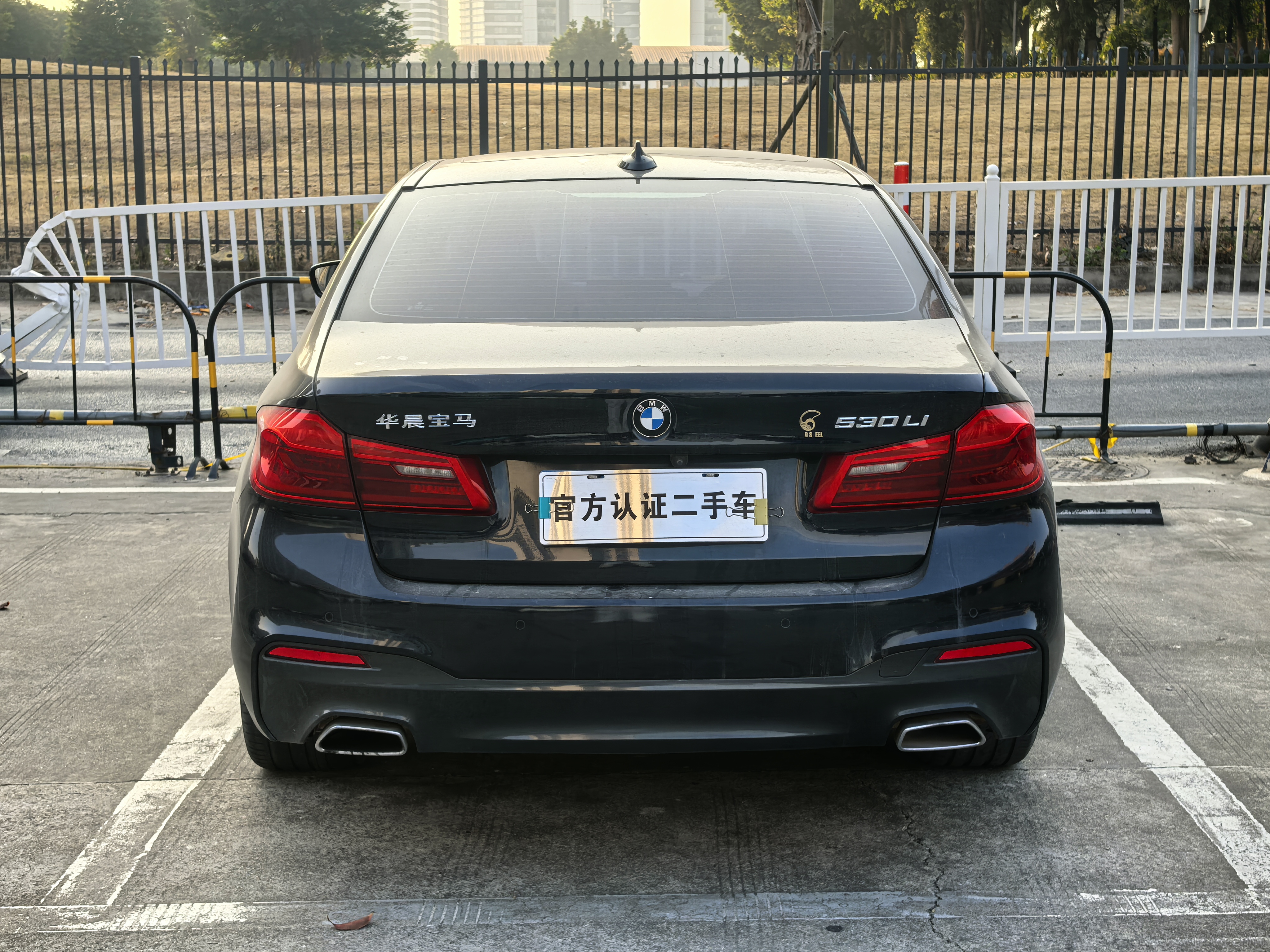 BMW 5 Series 2020 car image #9