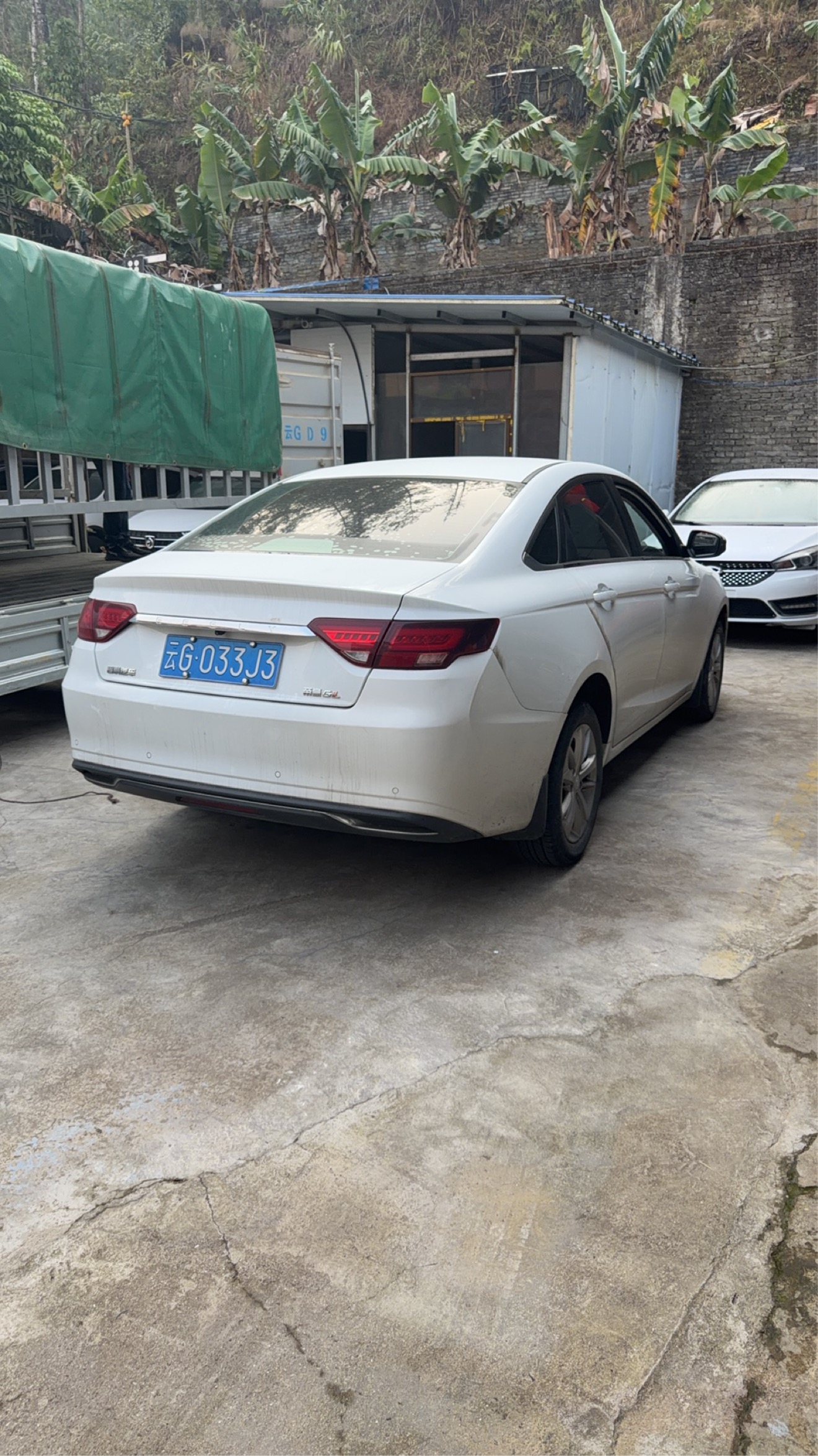 Emgrand GL 2021 car image #9
