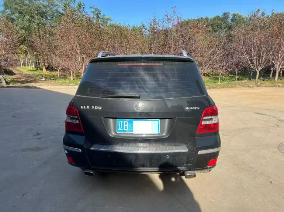 Mercedes-Benz GLK Class (Imported) 2010 car image #9