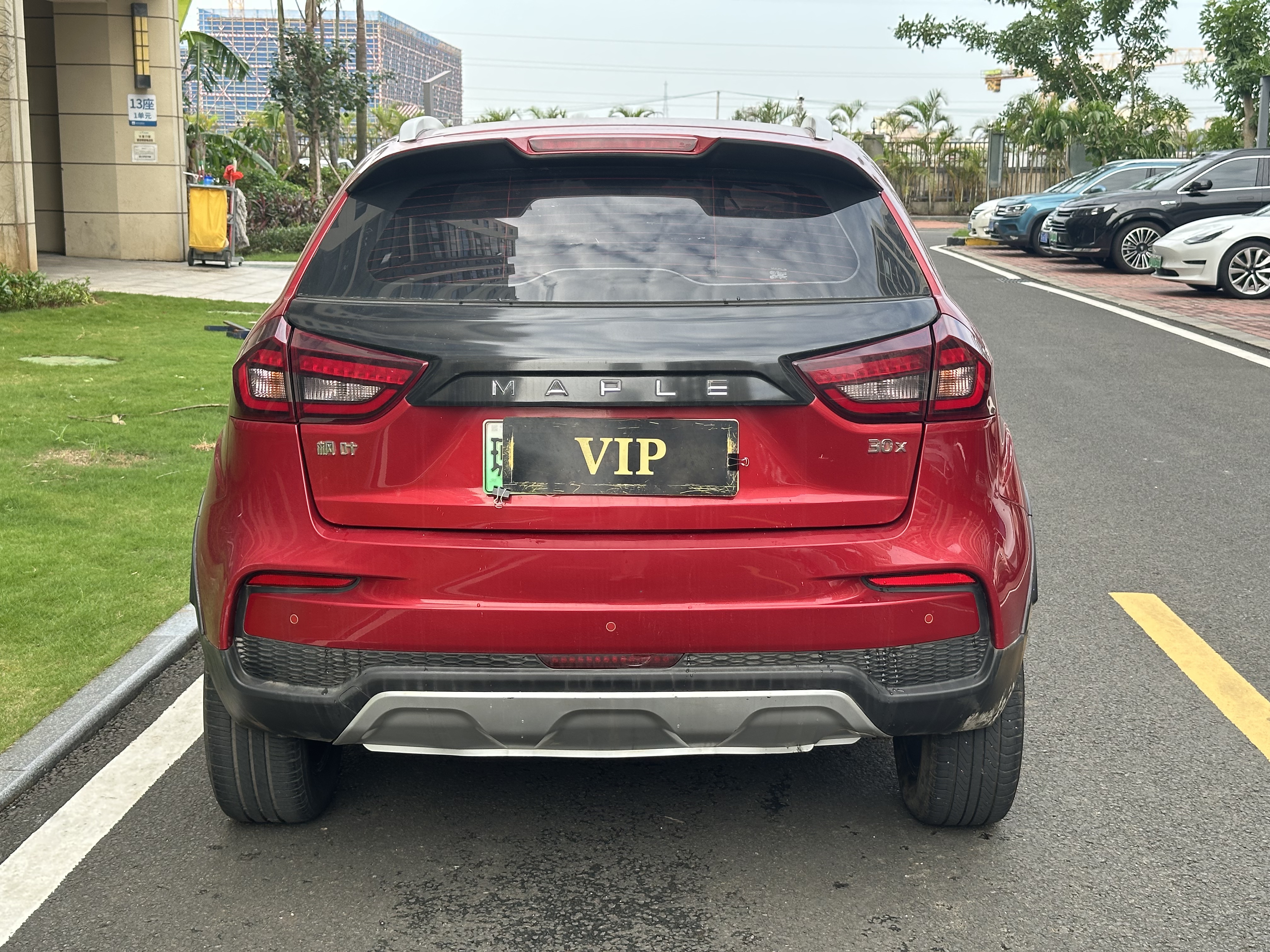 睿蓝汽车 枫叶30X 2020 汽车图片 #9