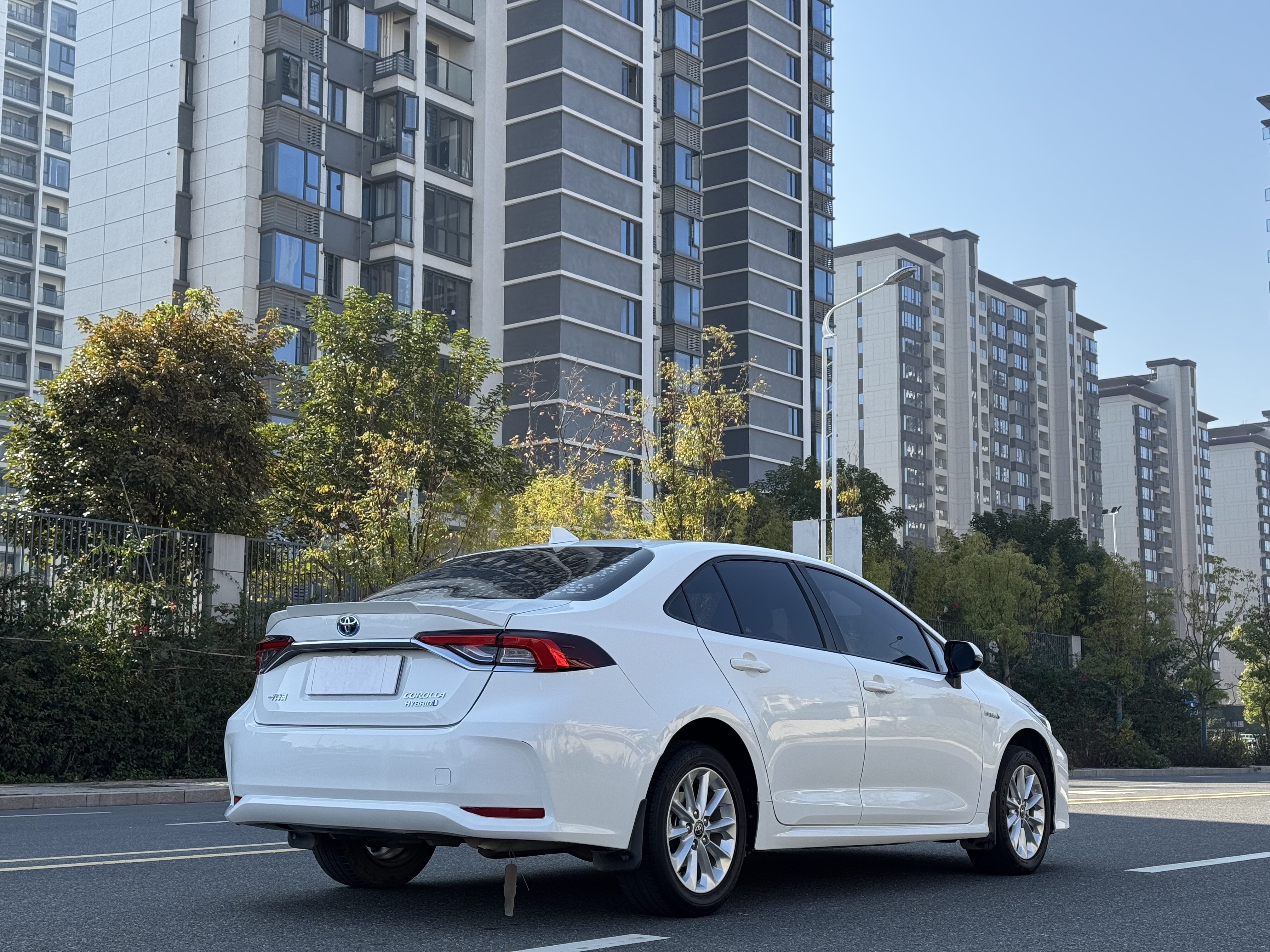 Toyota Corolla 2021 car image #9