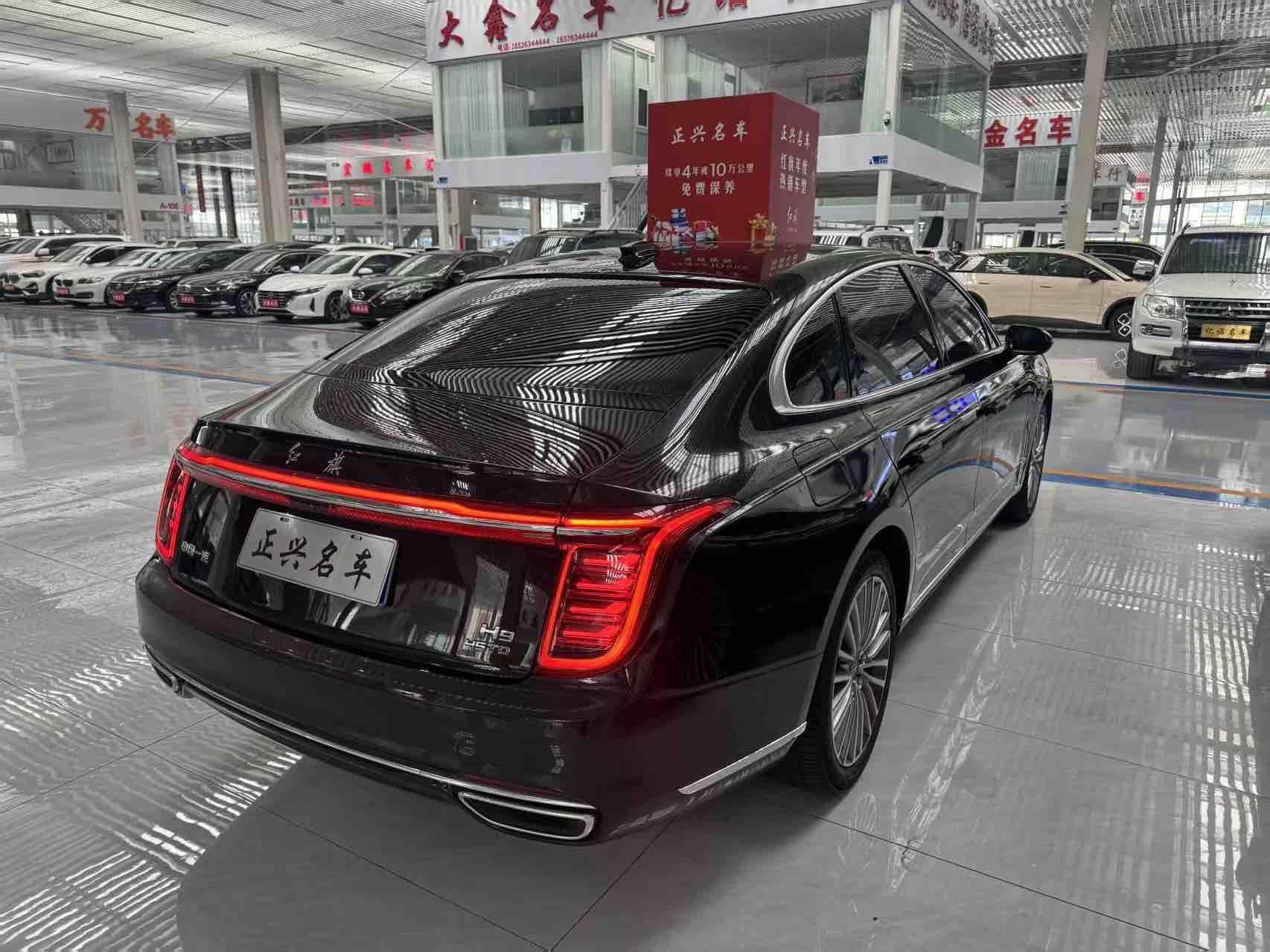 HongQi GuoYao 2021 #9 HongQi GuoYao 2021 car image #9