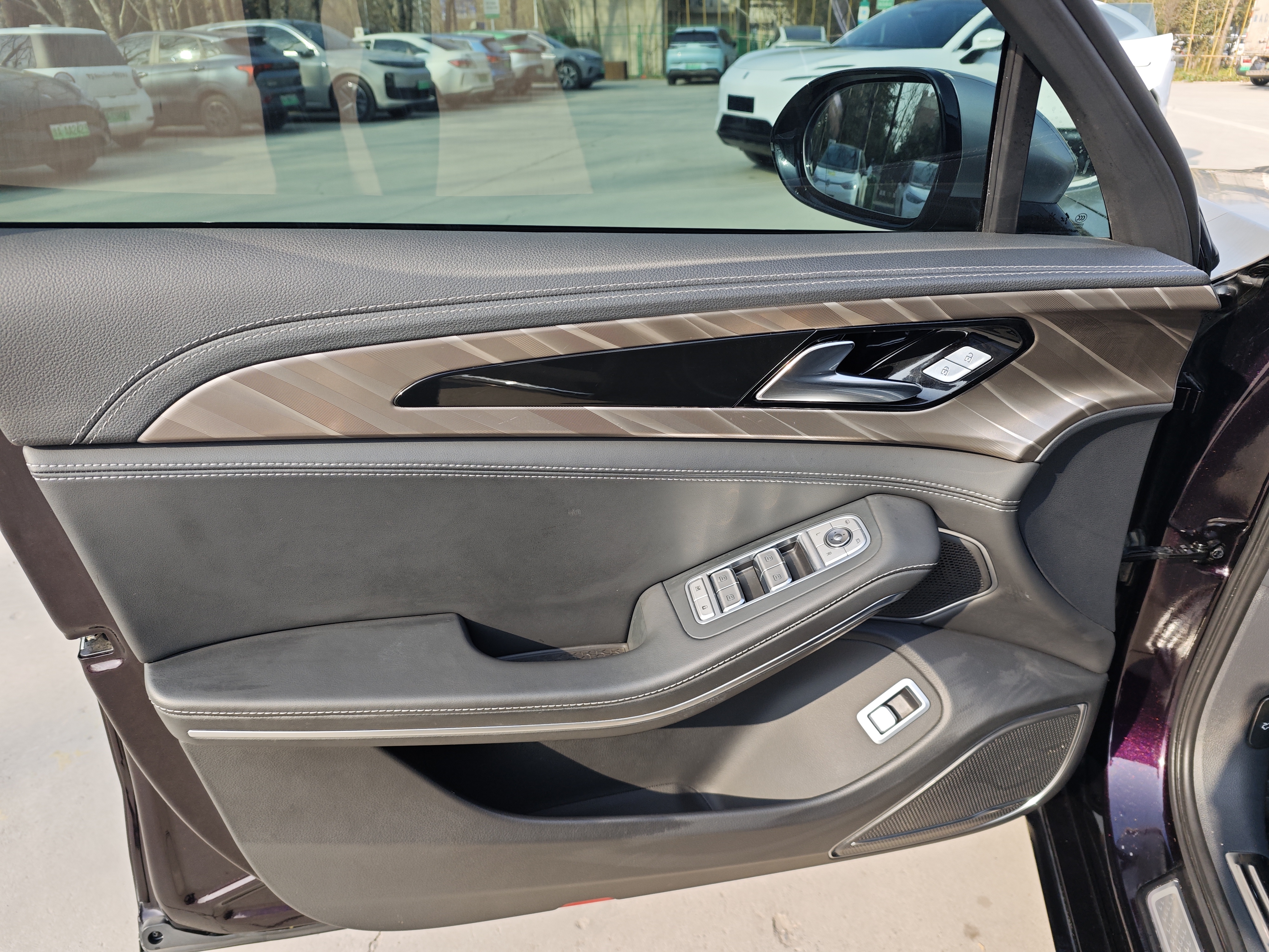 HongQi H9 2021 car image #9