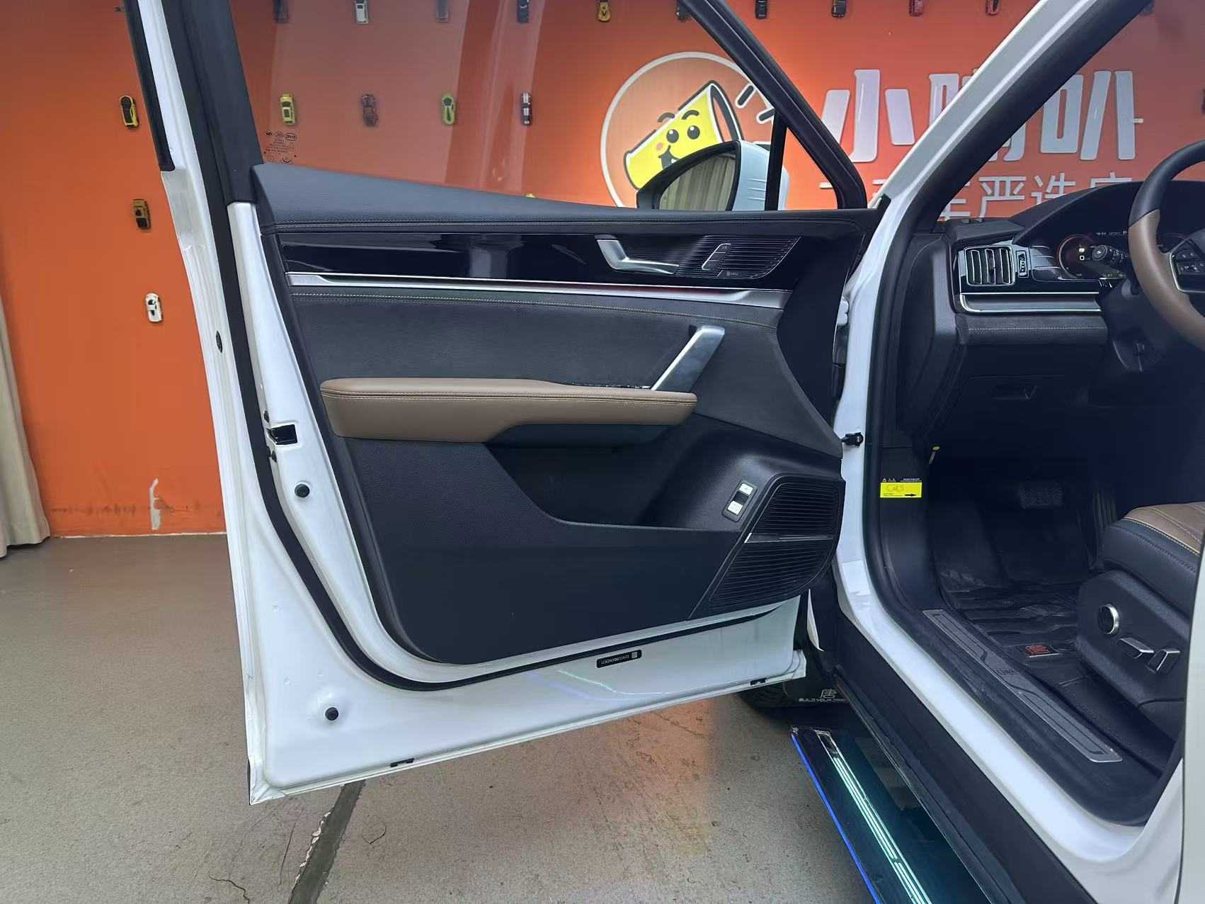 BYD Tang New Energy 2021 car image #9