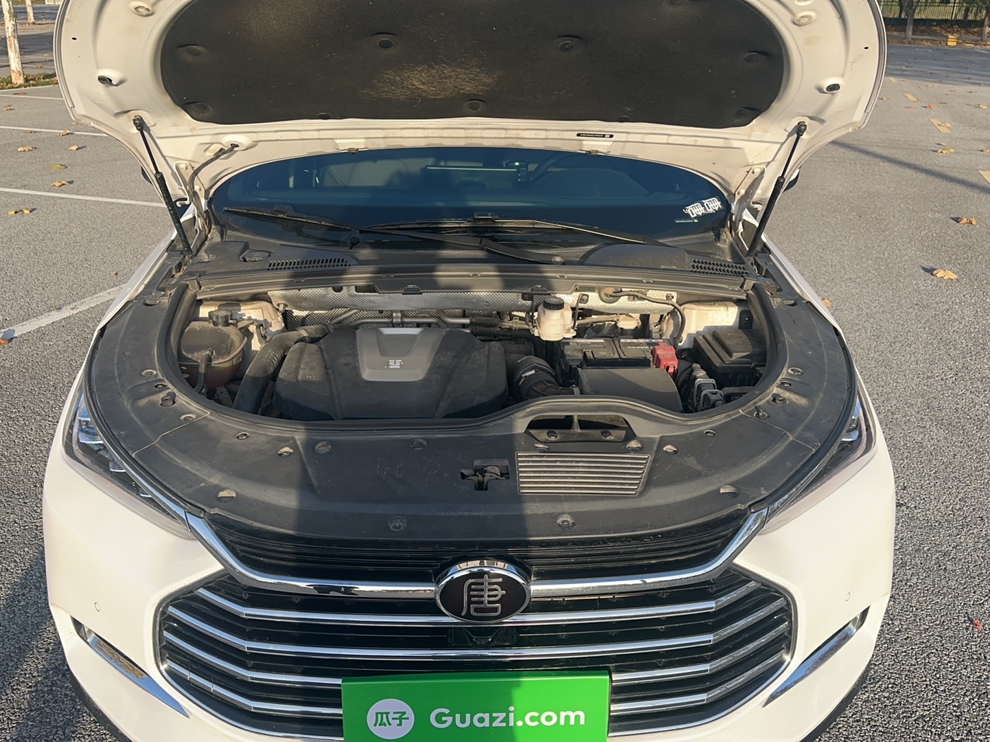 BYD Tang 2021 car image #9