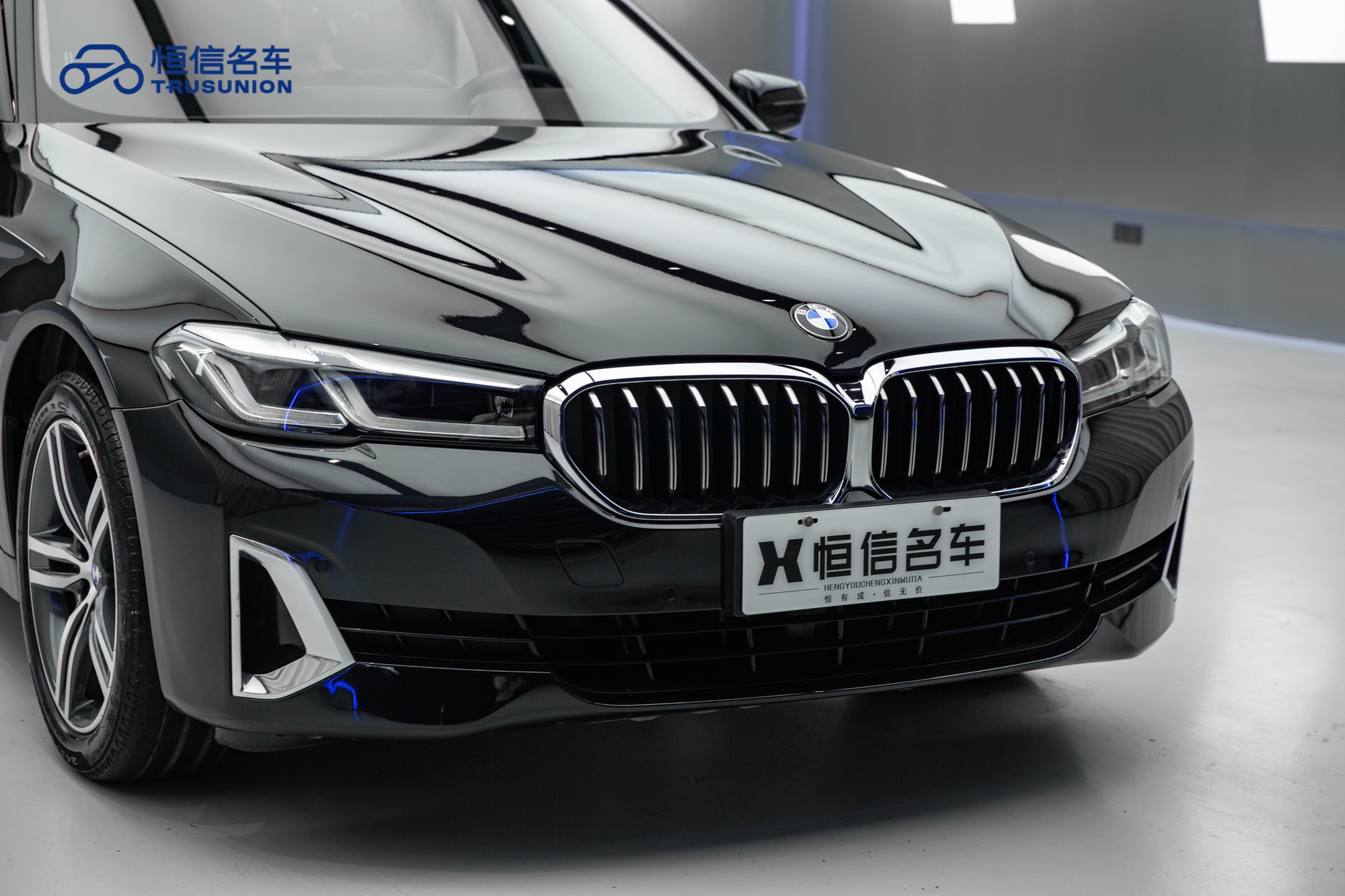 BMW 5 Series 2021 car image #9