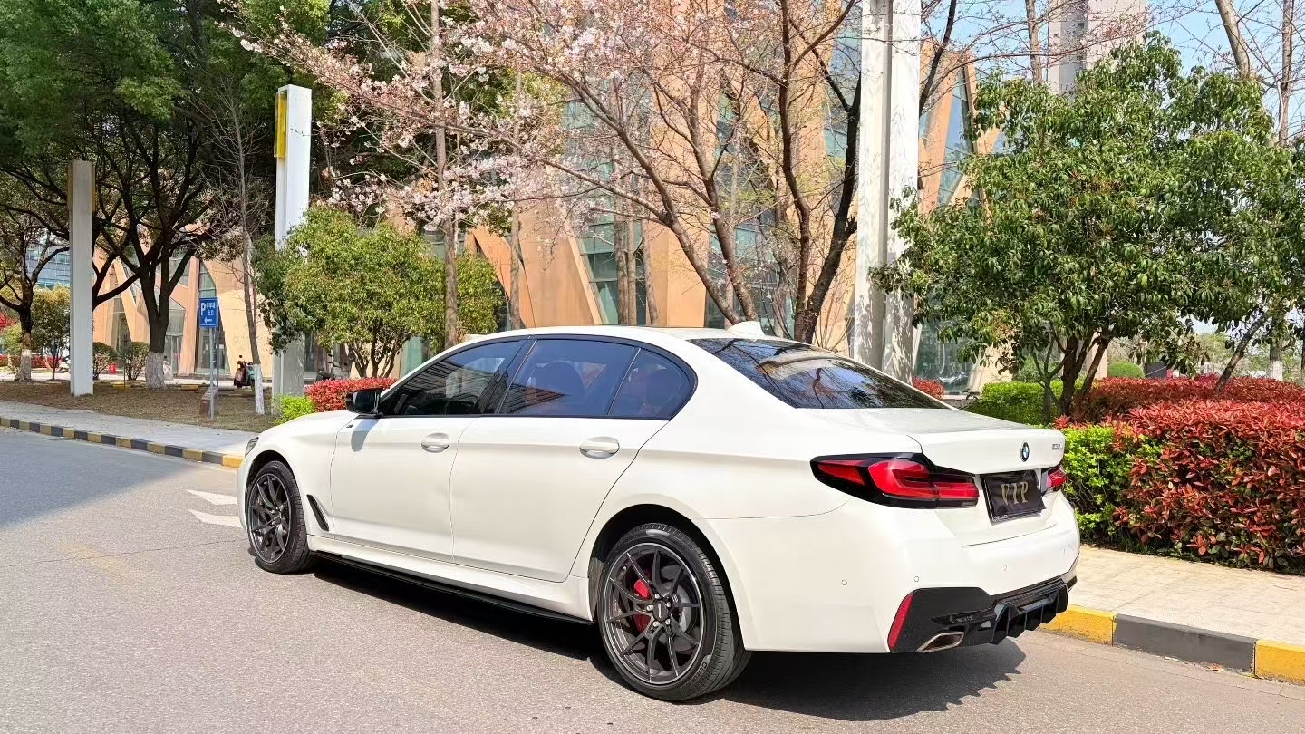 BMW 5 Series 2021 car image #9