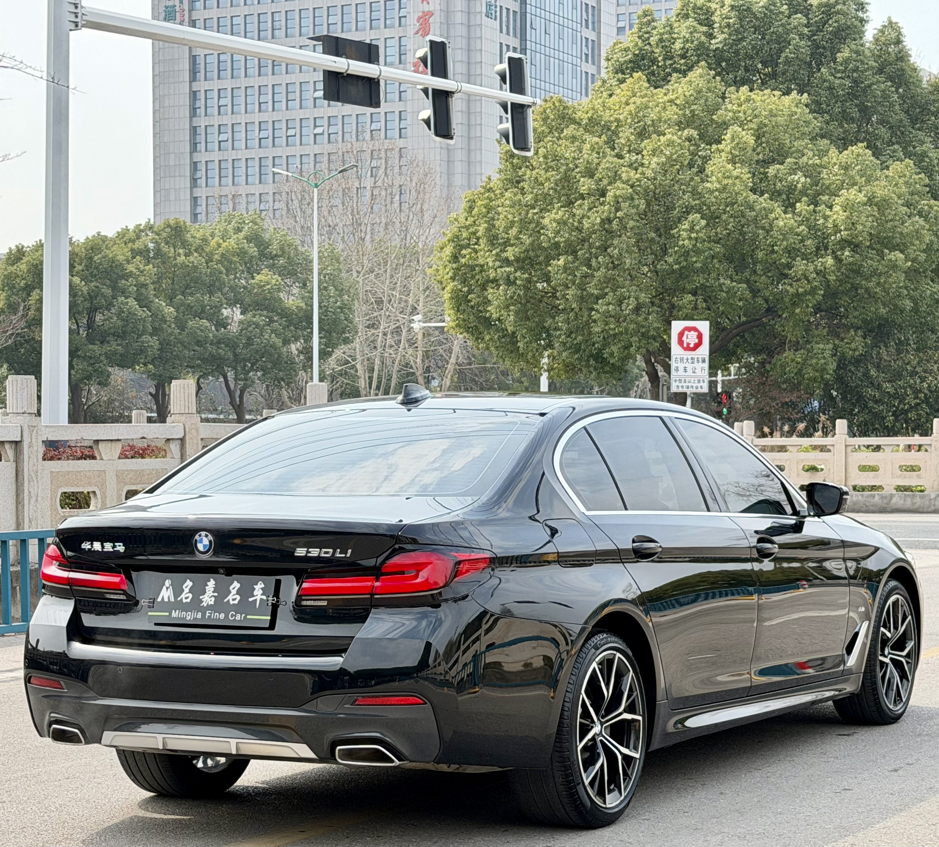 BMW 5 Series 2021 car image #9