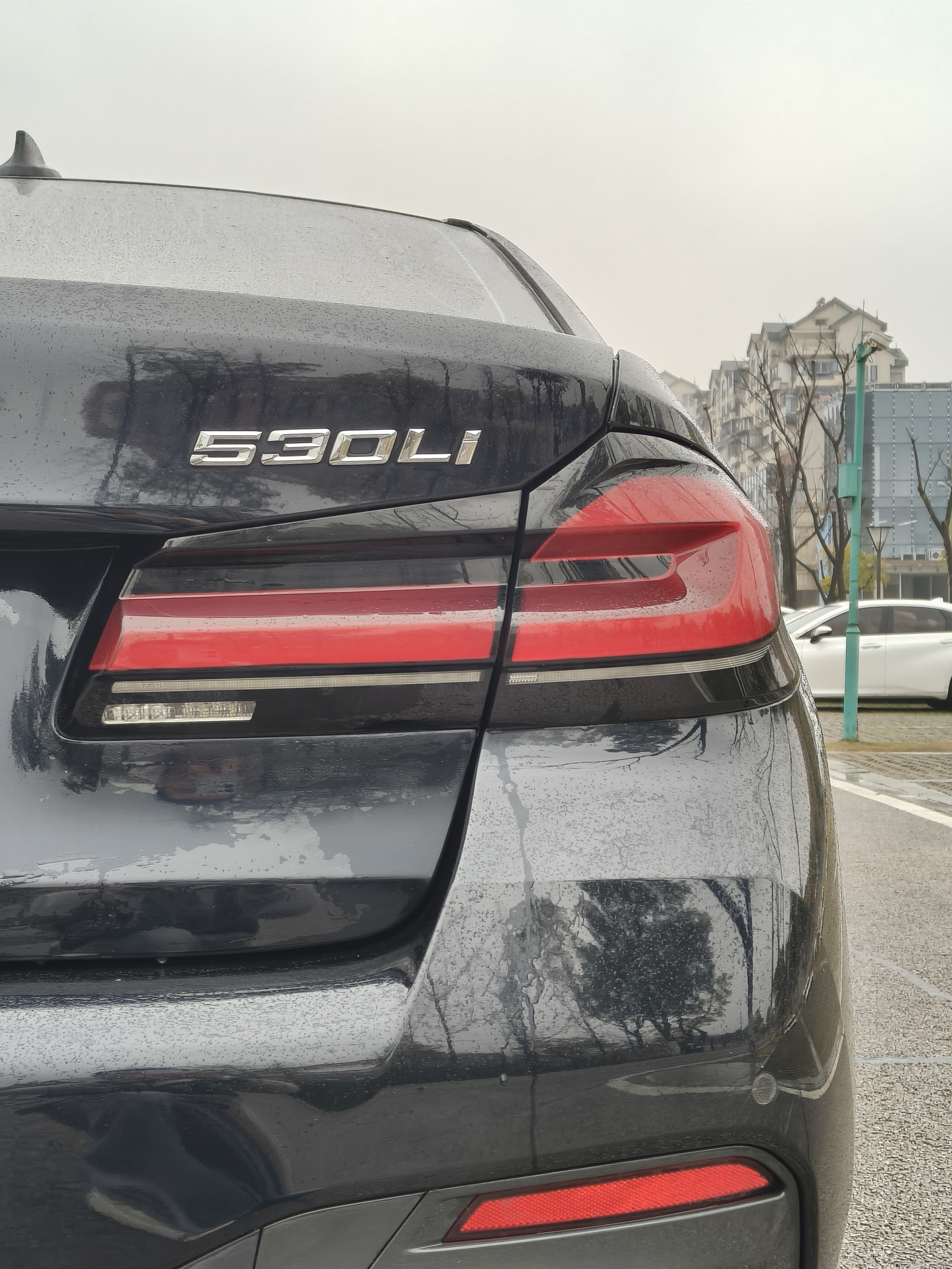 BMW 5 Series 2021 car image #9