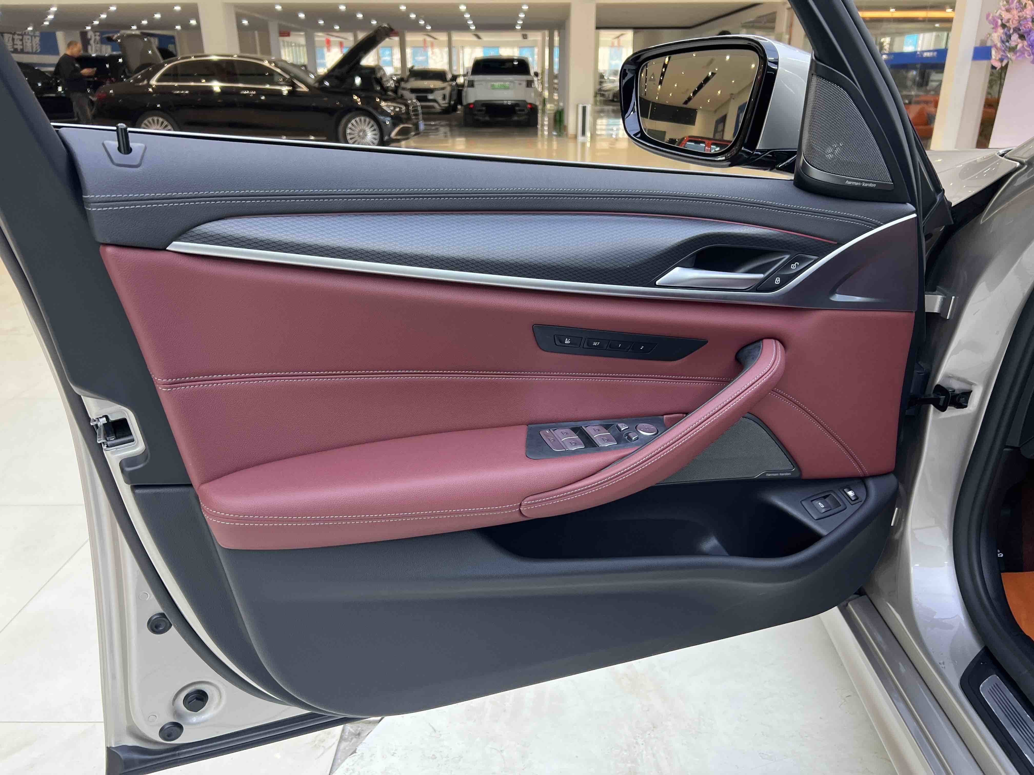 BMW 5 Series New Energy 2021 car image #9