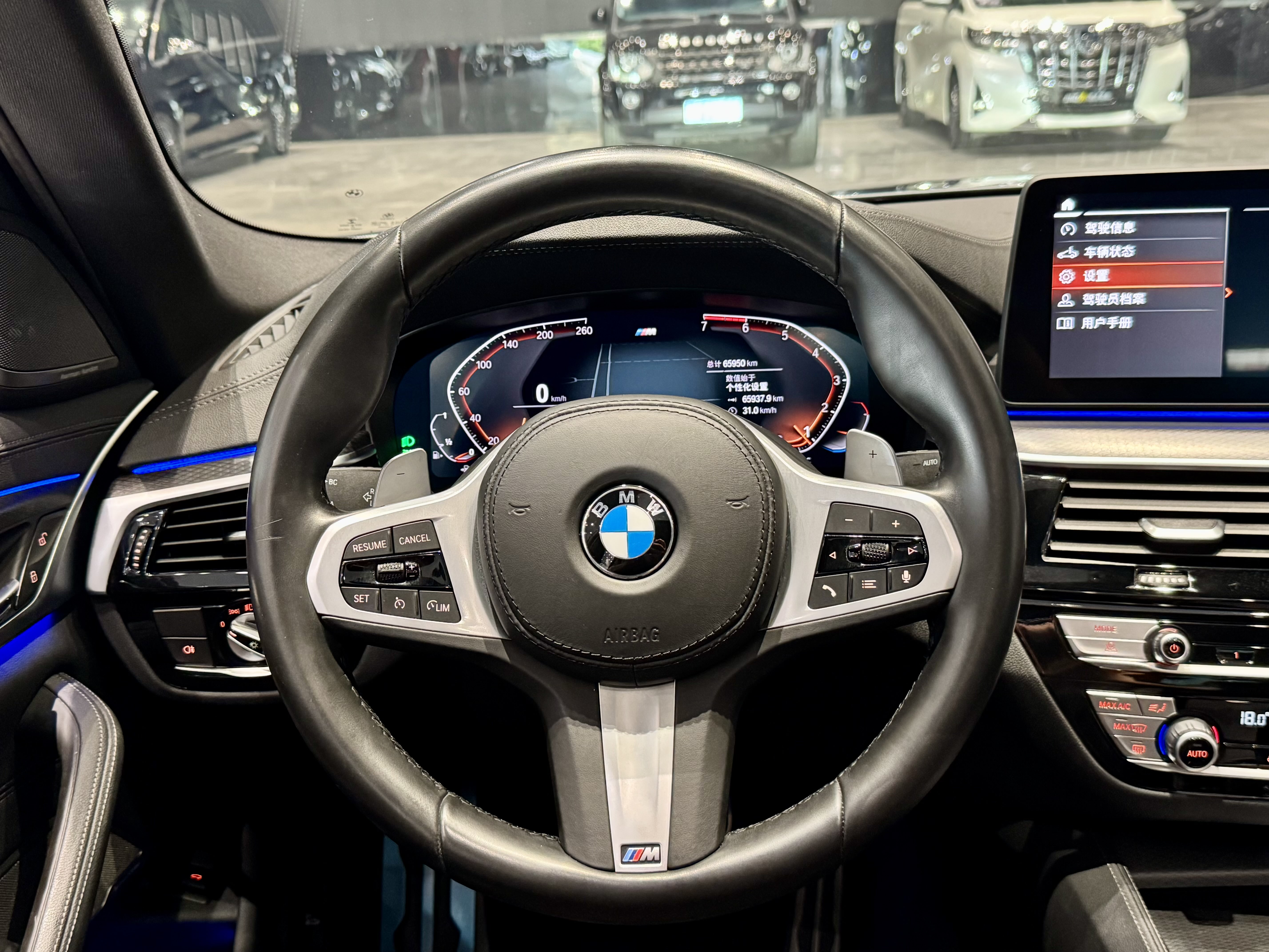 BMW 5 Series (Imported) 2021 #9 BMW 5 Series (Imported) 2021 car image #9