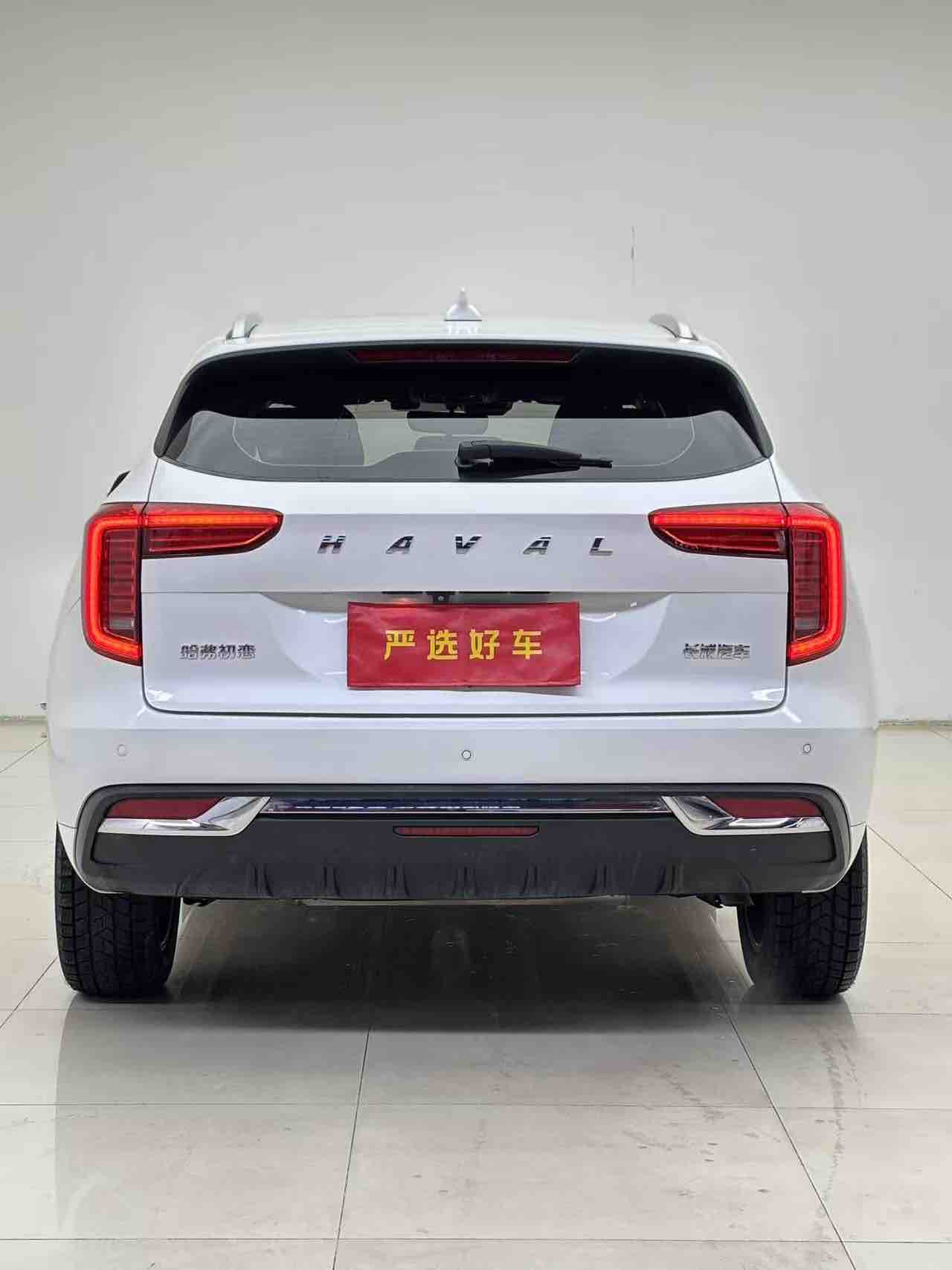 Haval Jolion 2021 immagine di auto #9
