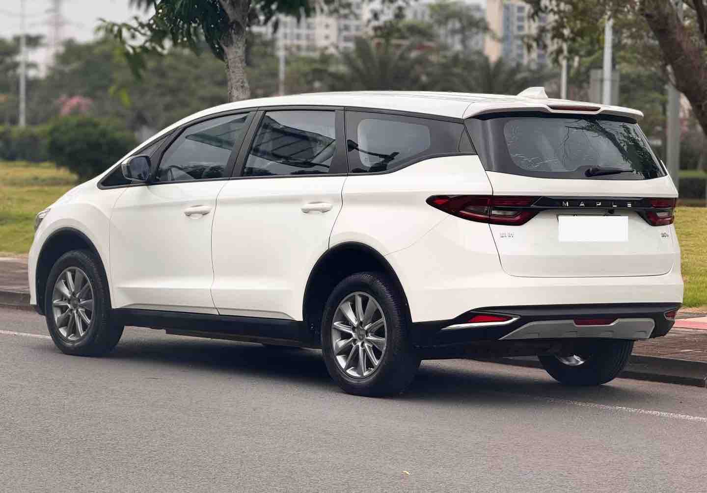 睿蓝汽车 枫叶80v 2022 汽车图片 #9