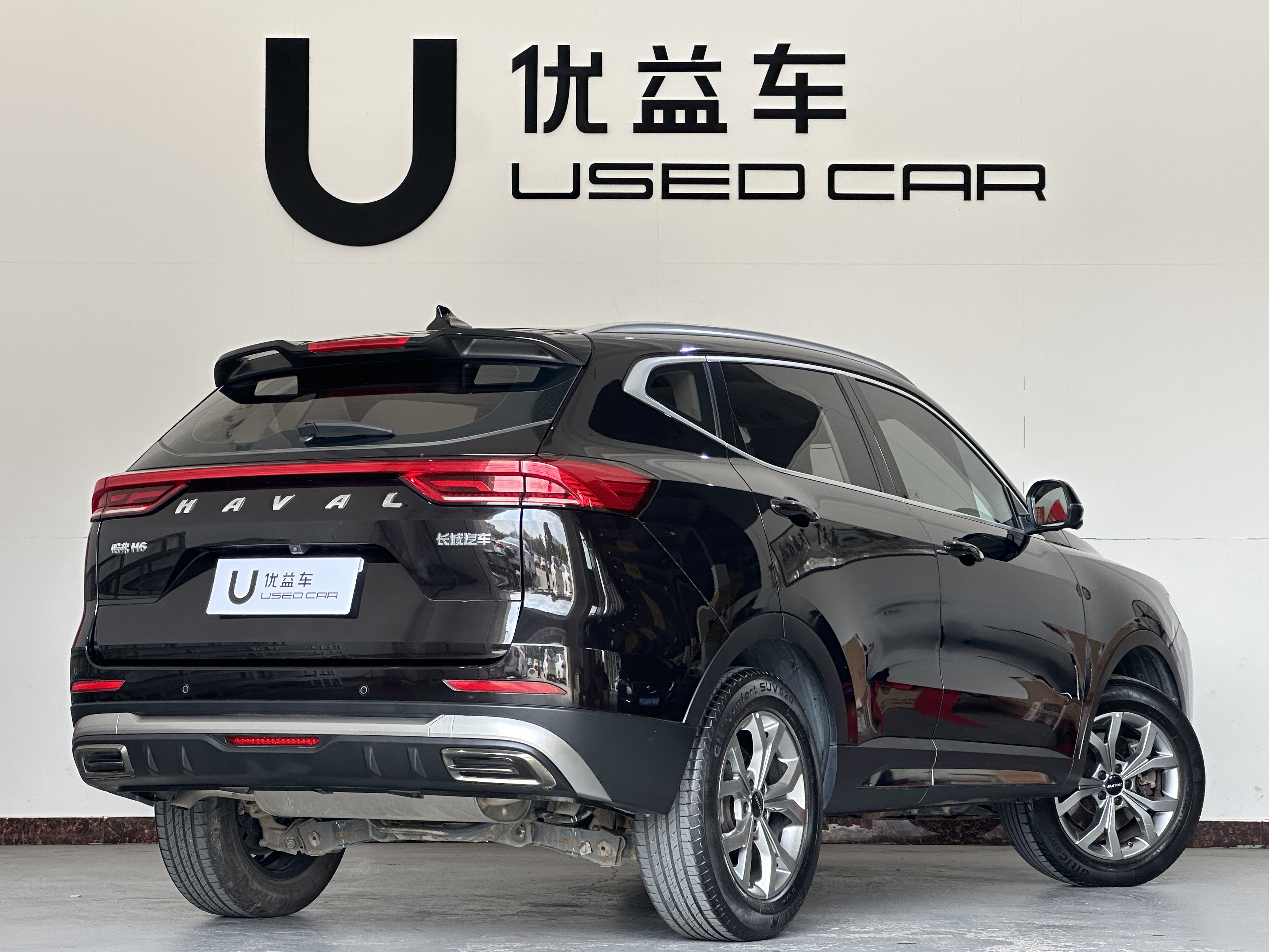 Haval H6 2022 car image #9