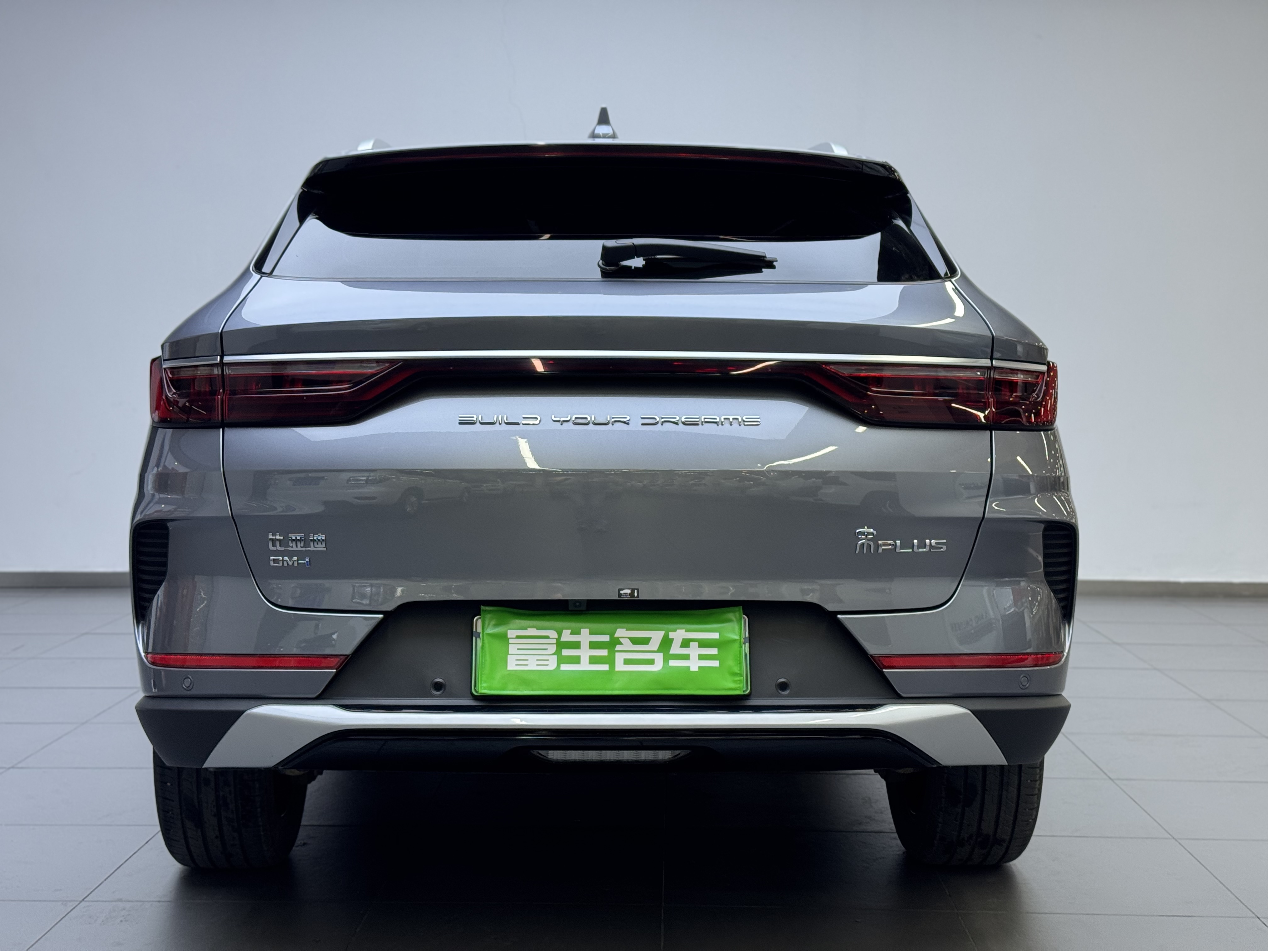 BYD Song Plus New Energy 2022 car image #9