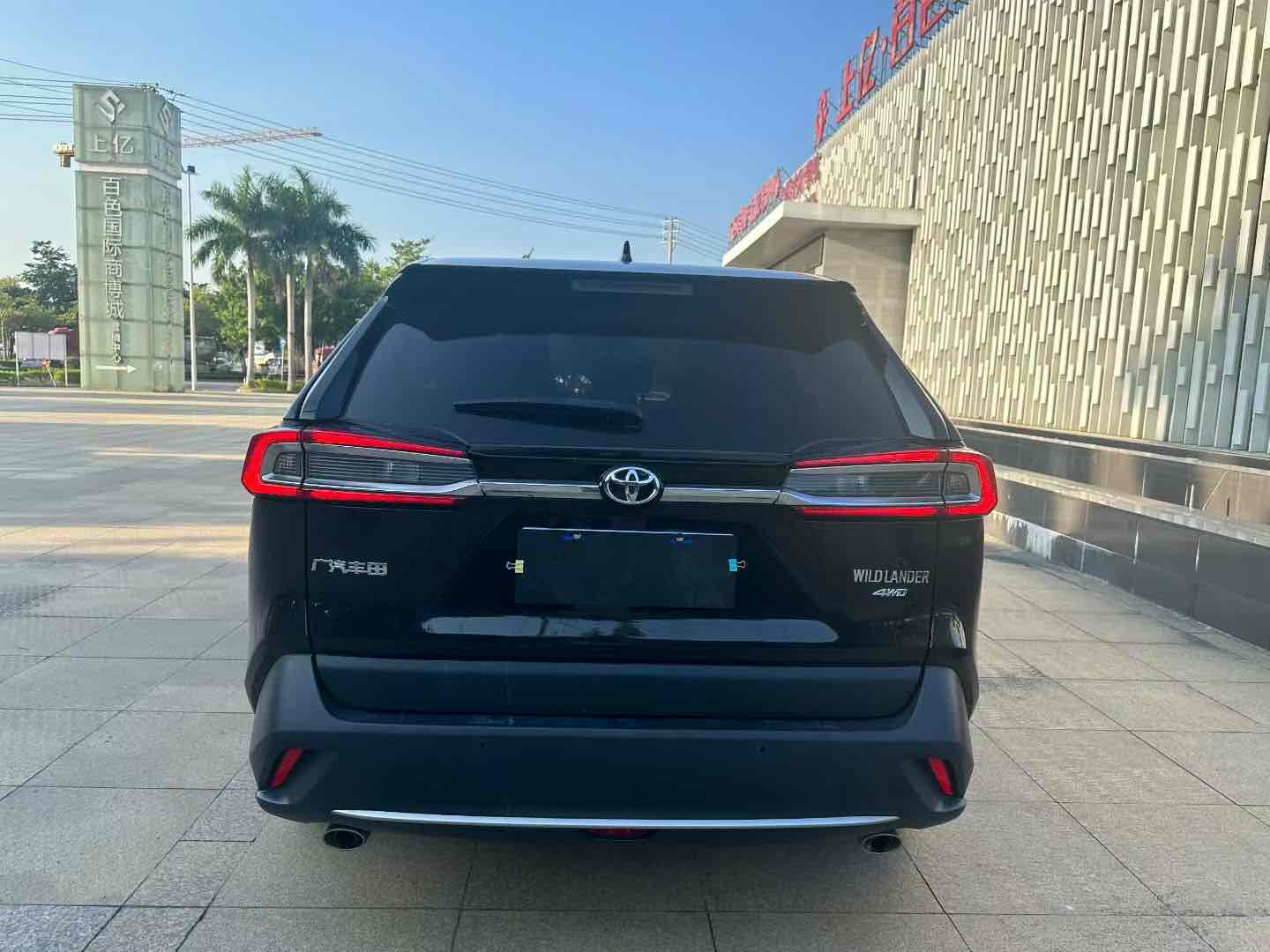 Toyota Wildlander 2021 imagem de carro #9