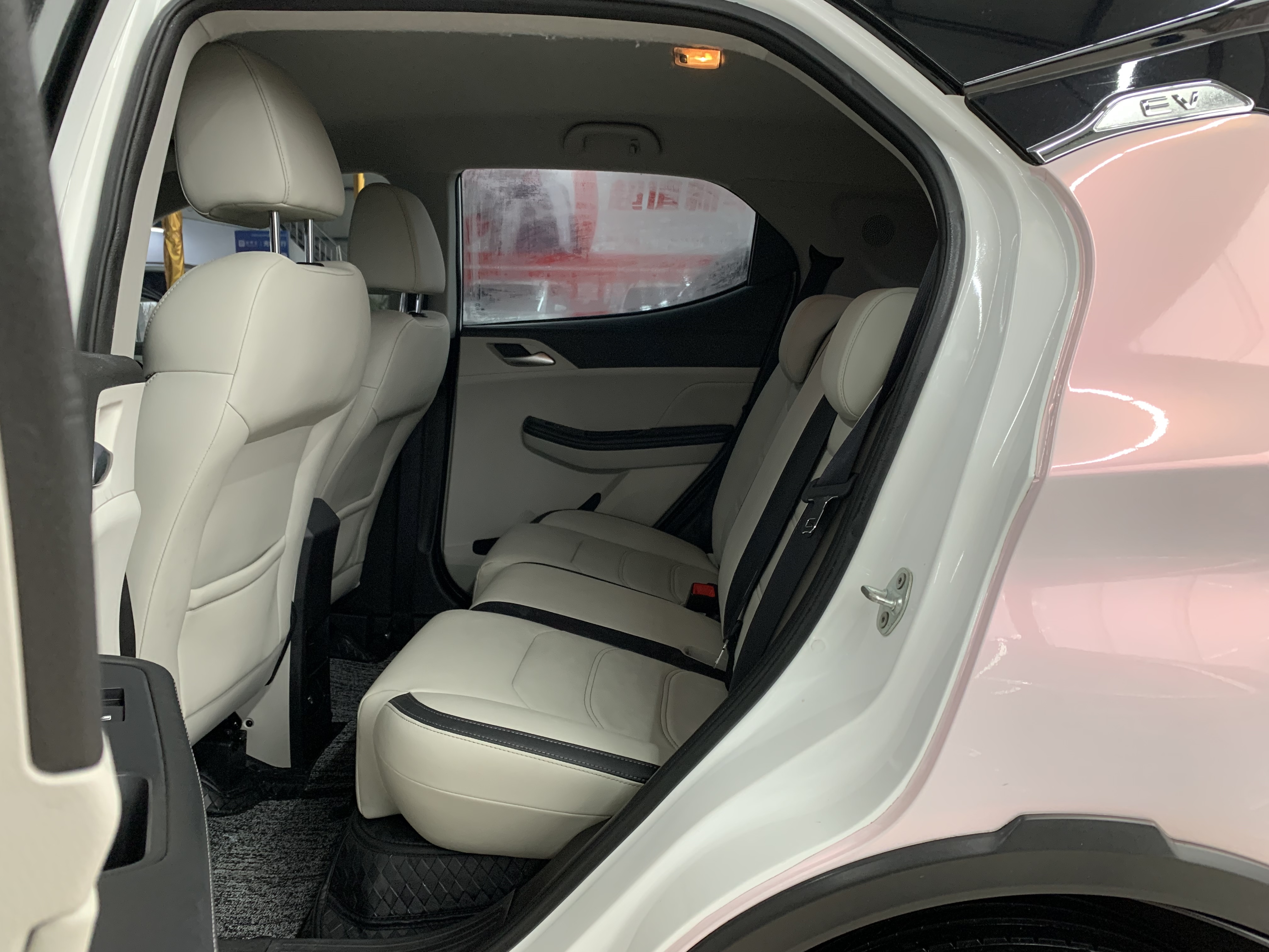 BYD Yuan Pro 2021 immagine di auto #9