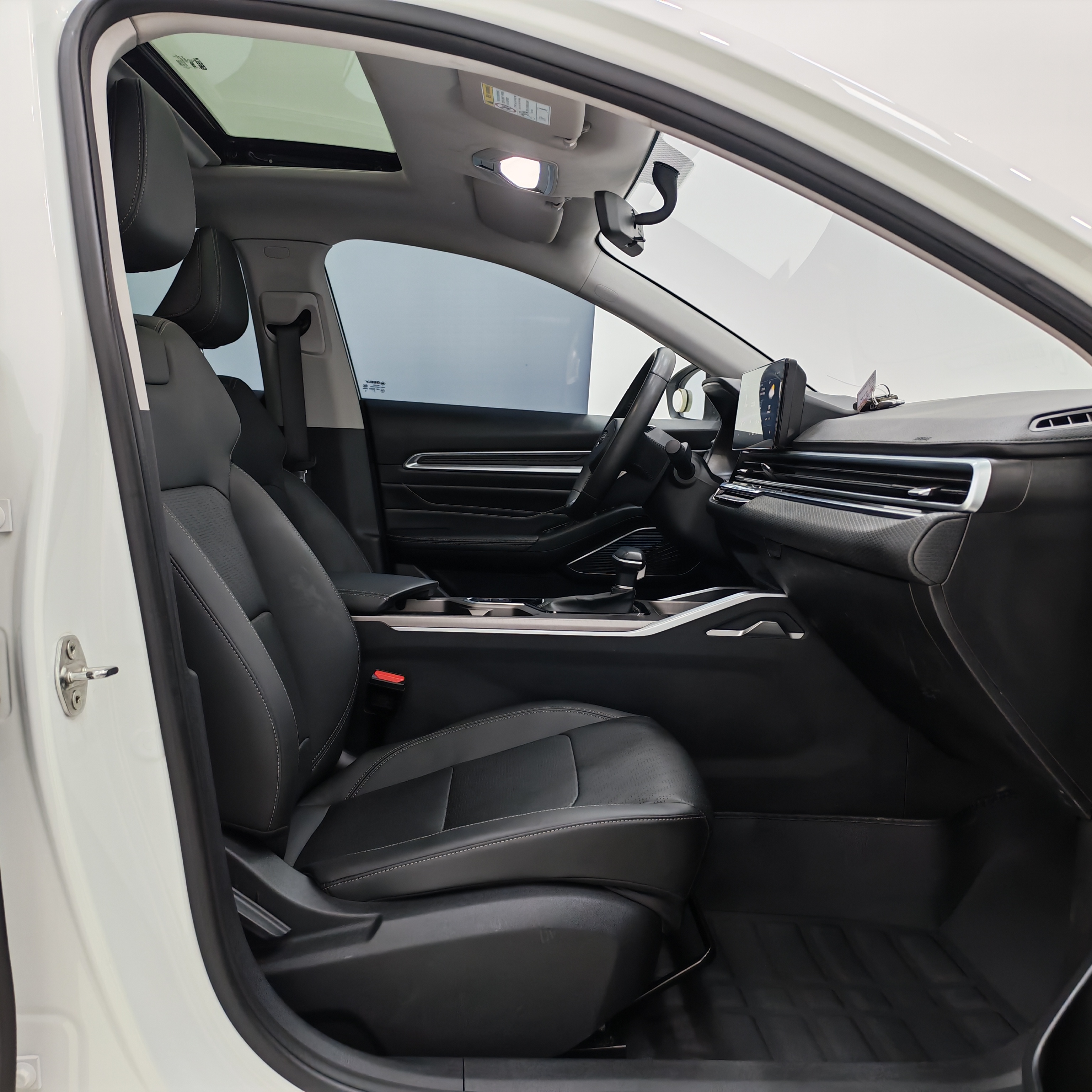 Emgrand 2021 car image #9