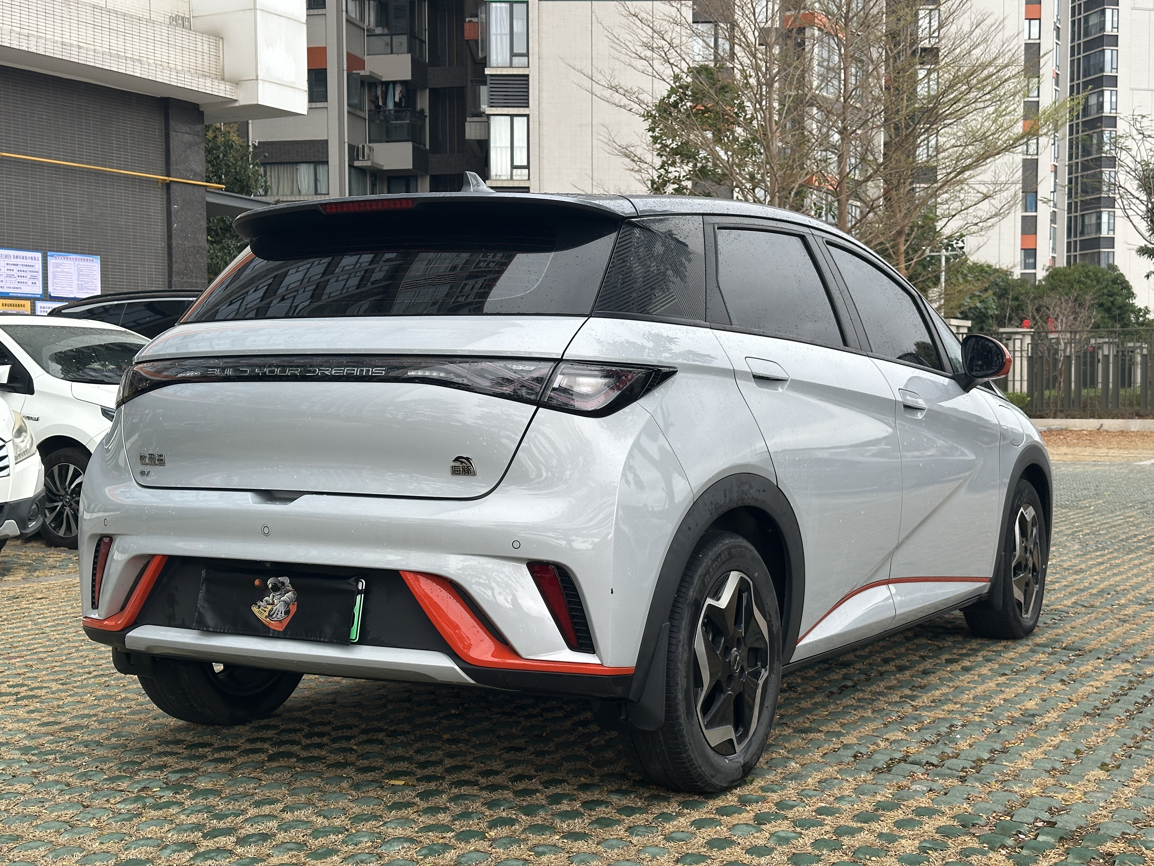 BYD Dolphin 2022 car image #9