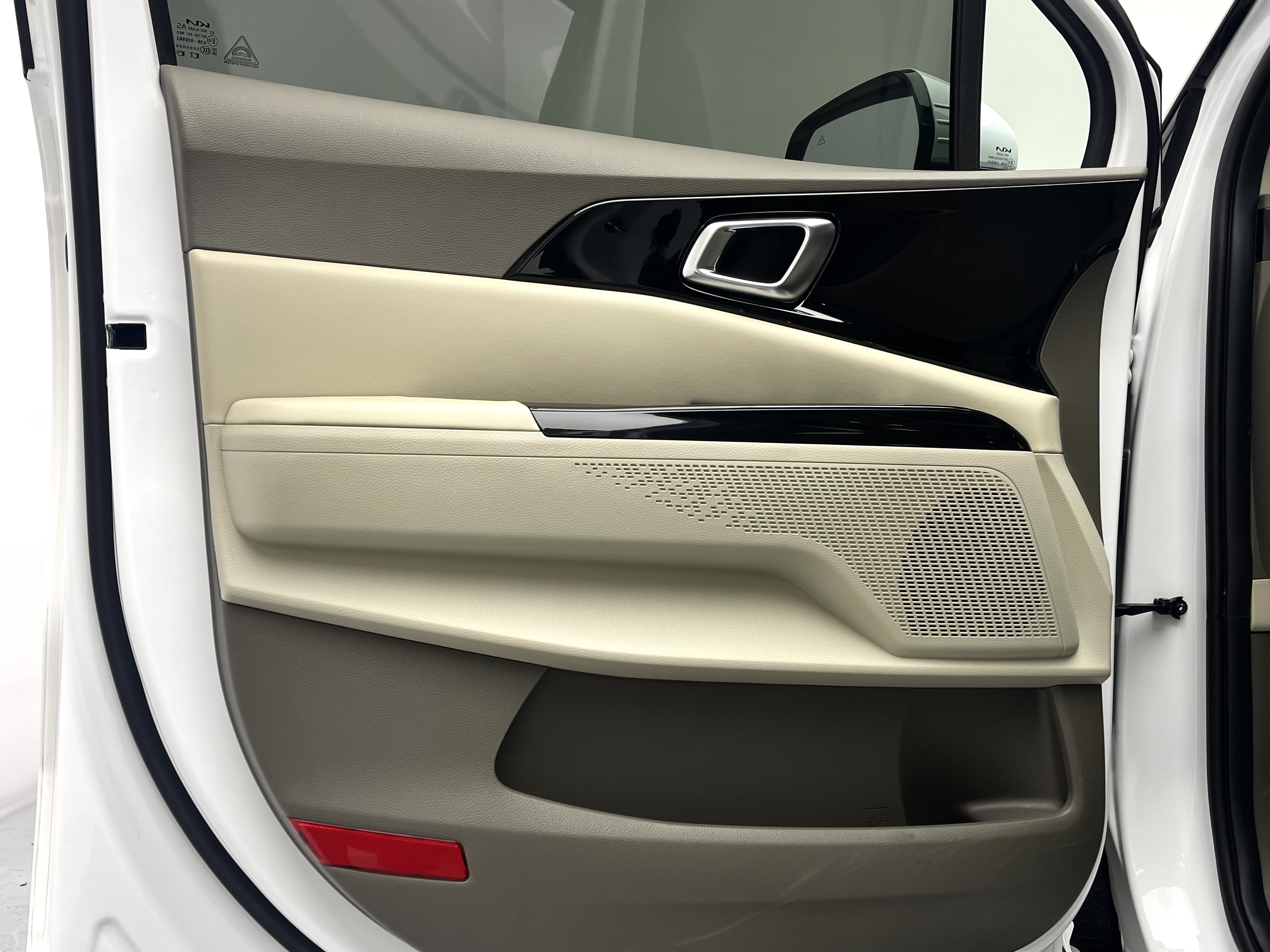 Kia Carnival 2024 immagine di auto #9