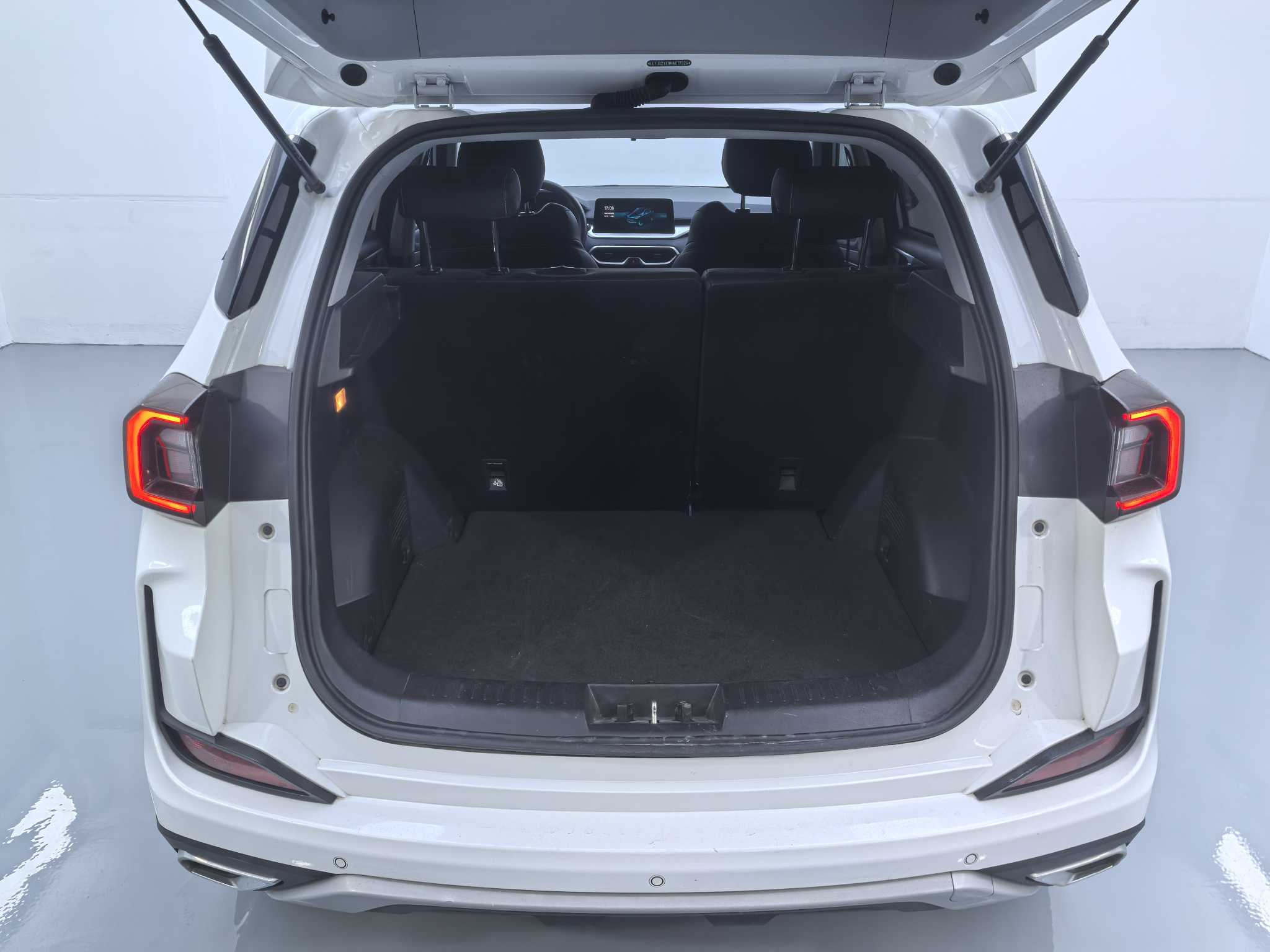 Showjet Pro EV 2022 car image #9