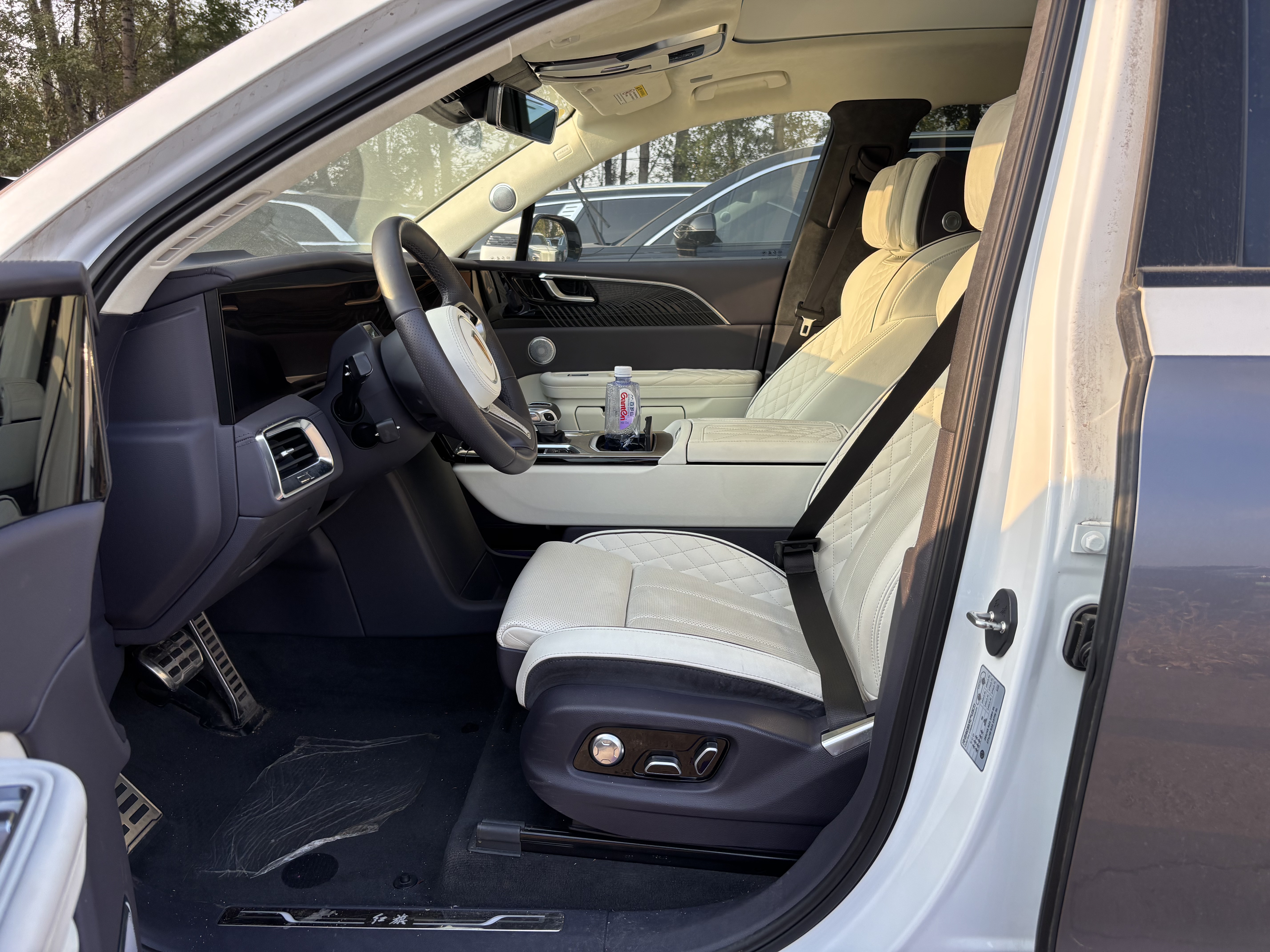 HongQi E-HS9 2023 #9 HongQi E-HS9 2023 car image #9