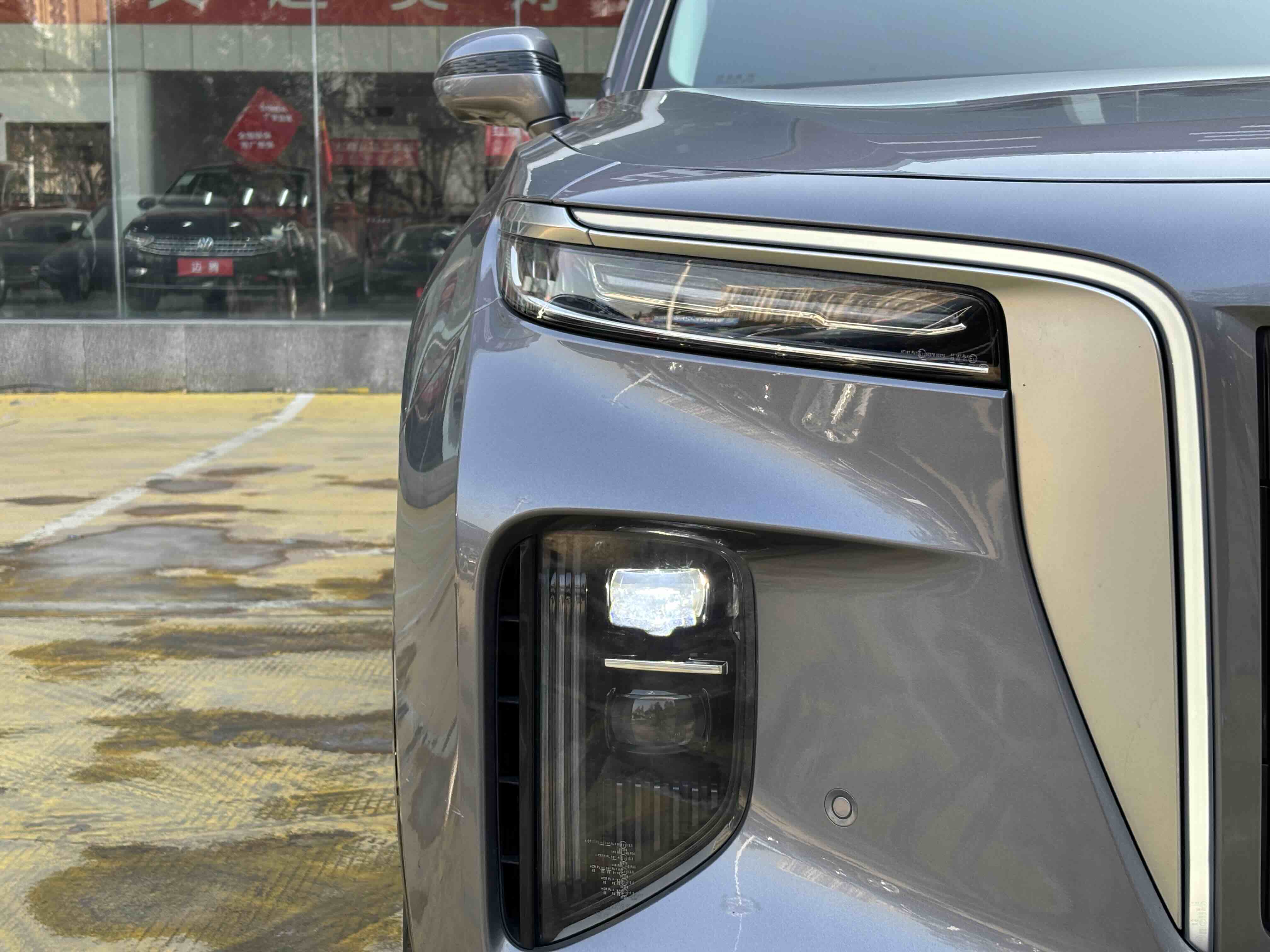 HongQi E-HS9 2023 изображение автомобиля #9