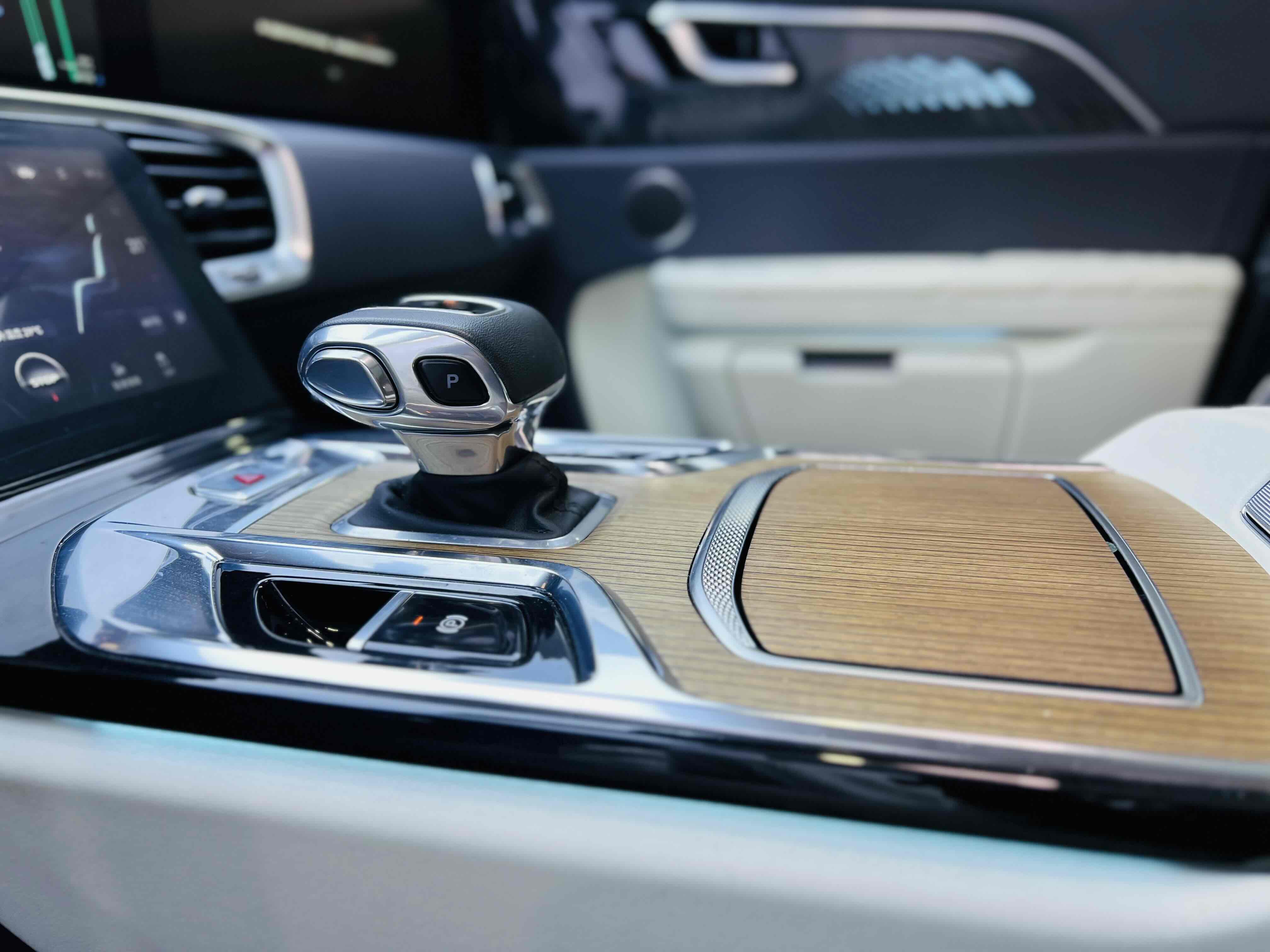 HongQi E-HS9 2022 car image #9