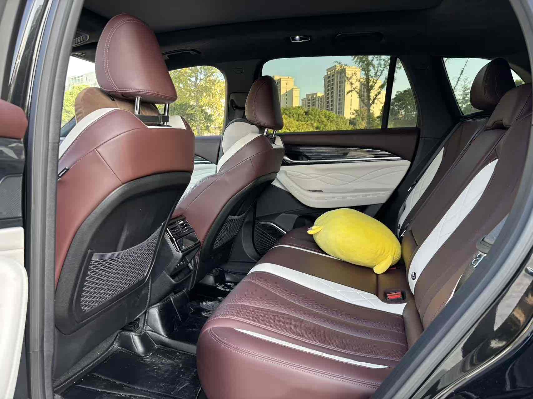 GEELY Tugella 2022 car image #9