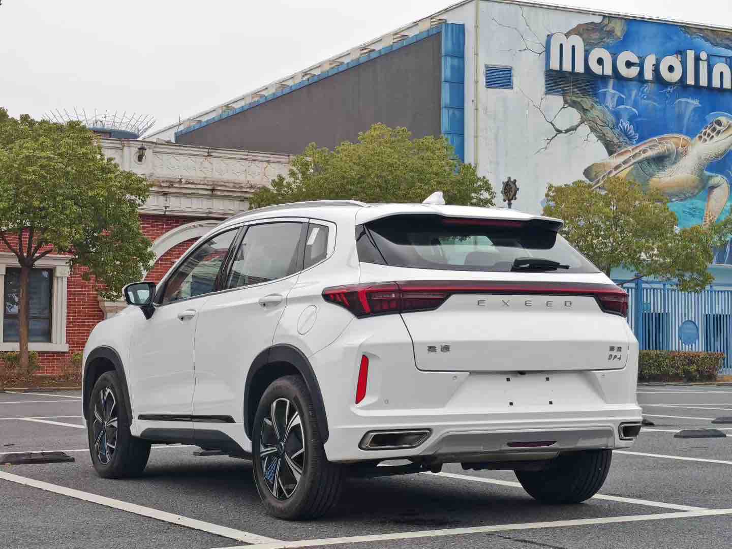 Exceed 2024 #9 Exceed 2024 car image #9