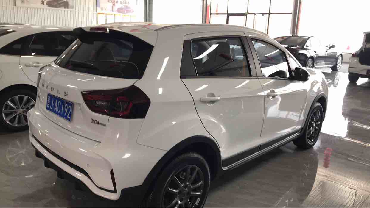 睿蓝汽车 睿蓝汽车X3 PRO 2023 汽车图片 #9