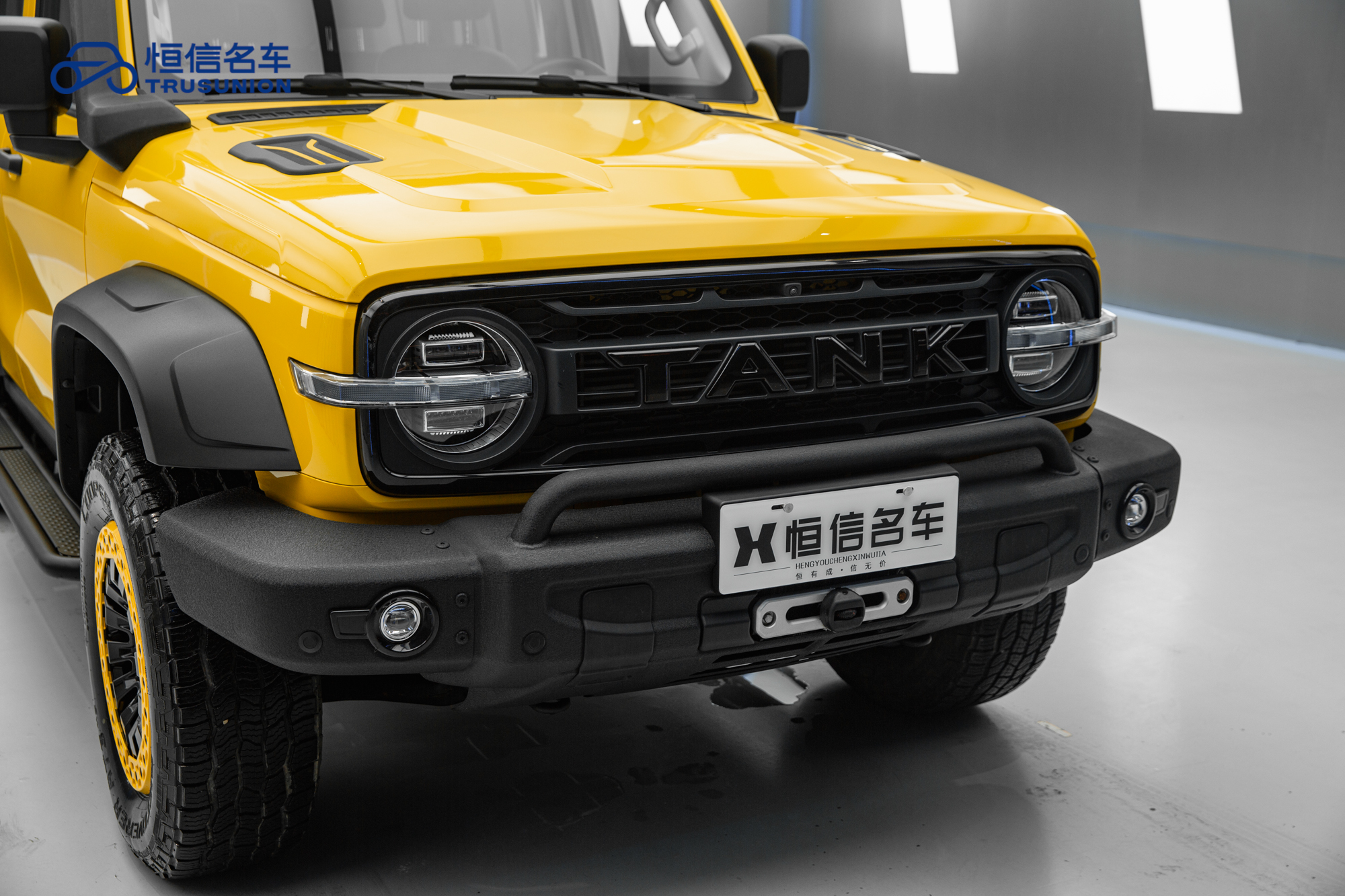 Tank 300 2023 car image #9