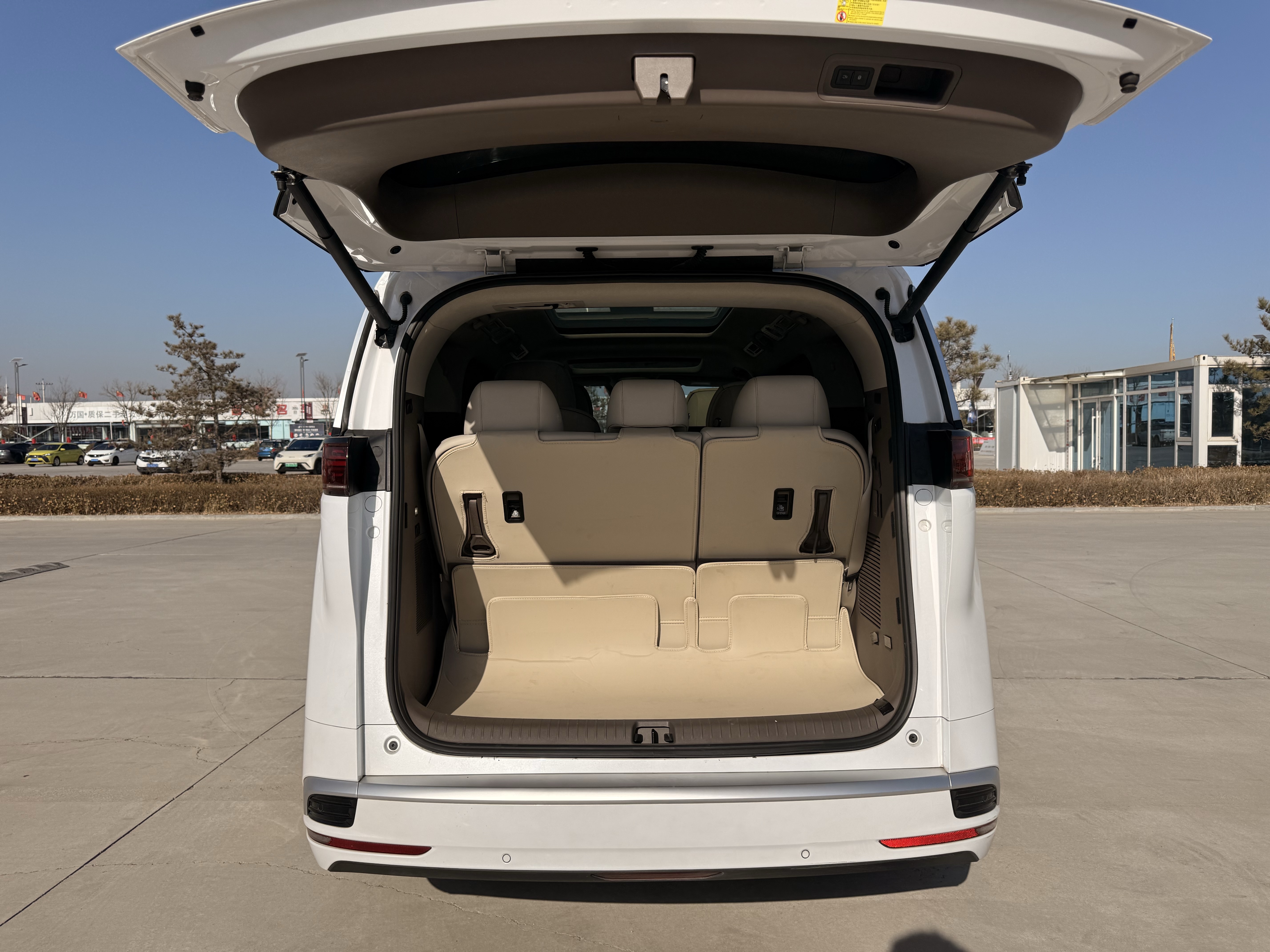 Denza D9 2024 car image #9