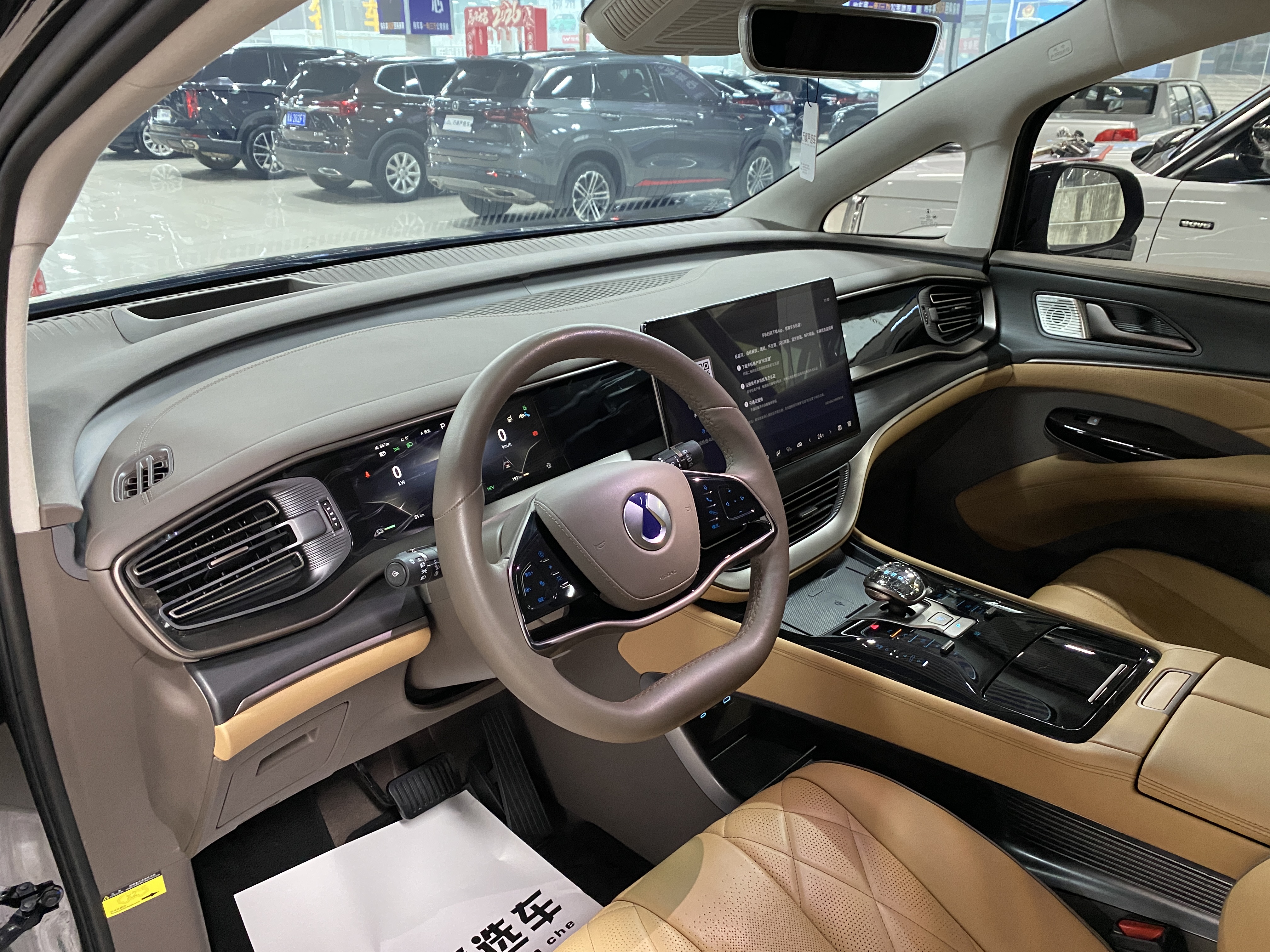 Denza D9 2023 изображение автомобиля #9