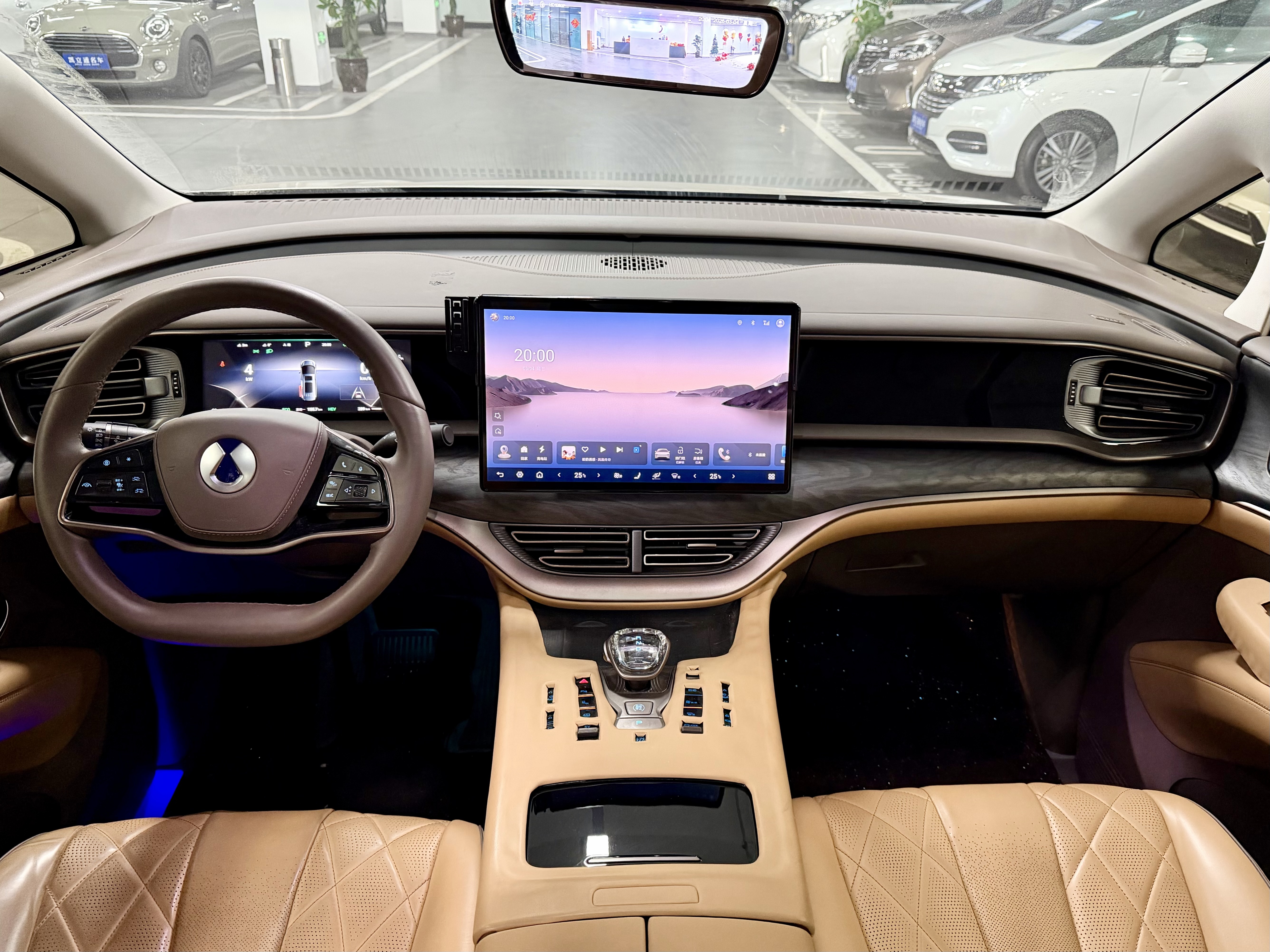 Denza D9 2023 imagem de carro #9